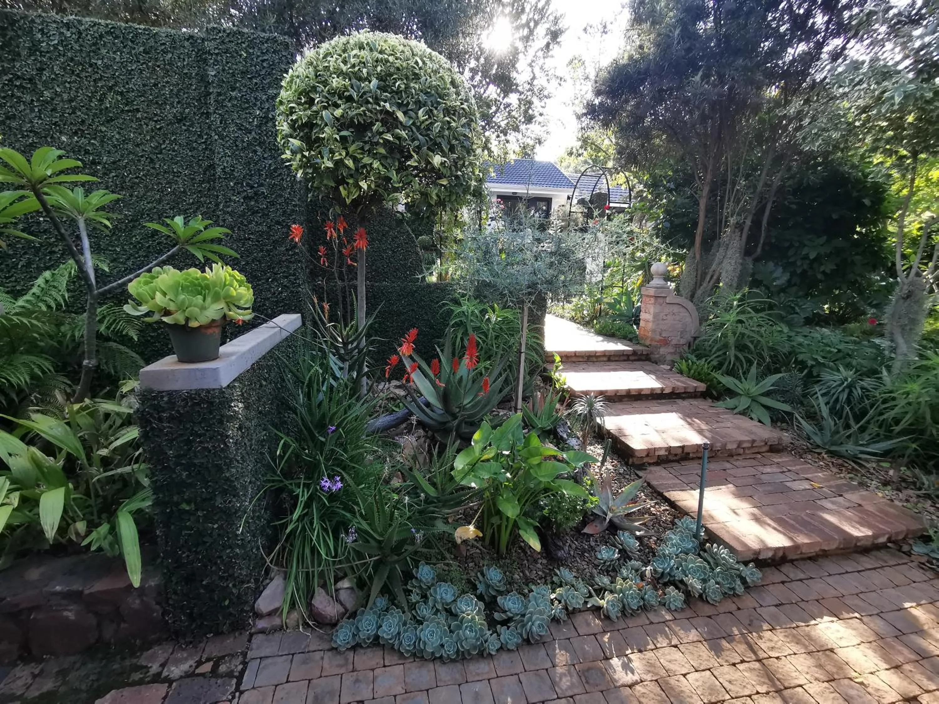 Garden in At 98 on Lynburn Guest House