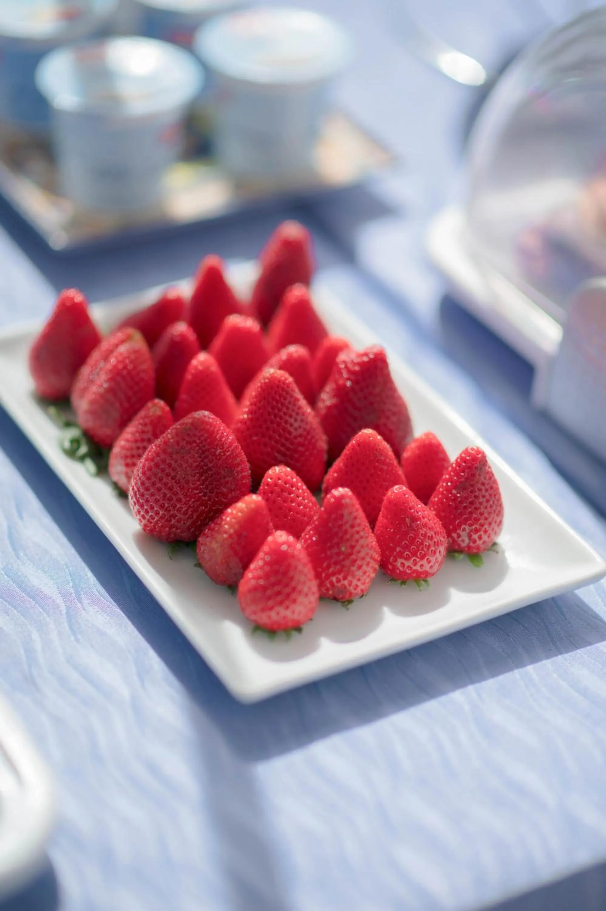 Restaurant/places to eat in Il Leone Di Mare