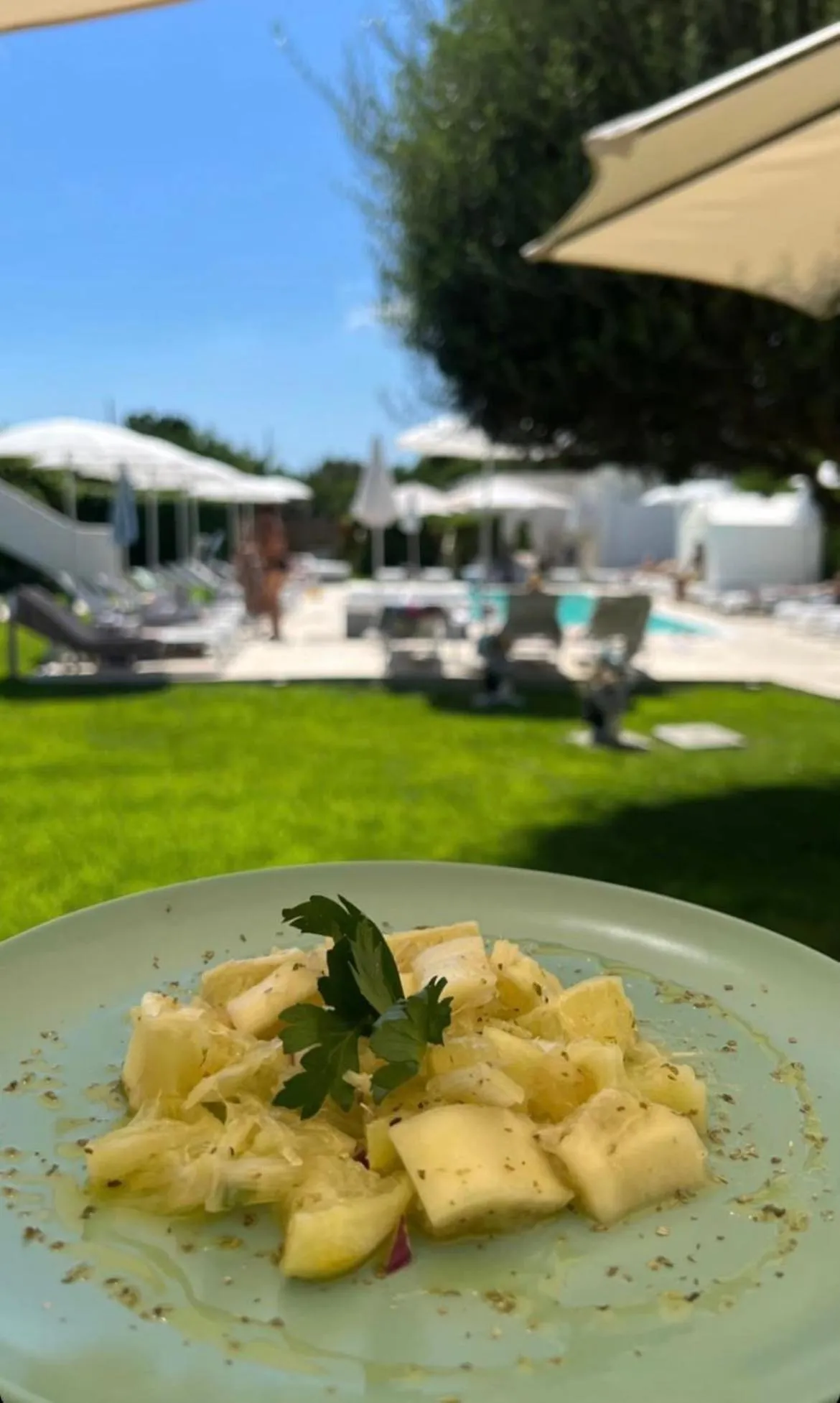 Restaurant/places to eat in Il Leone Di Mare