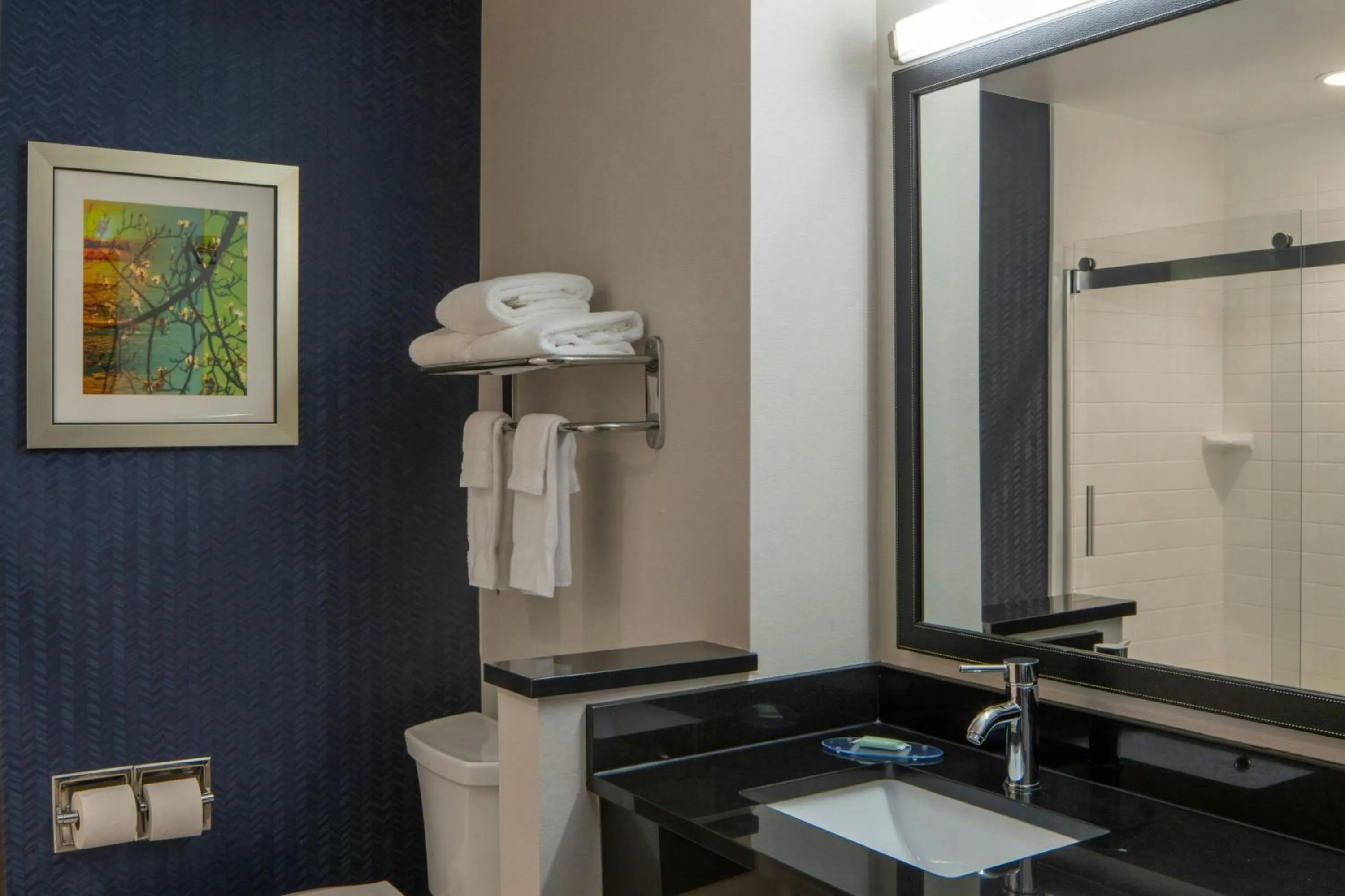 Bathroom in Fairfield Inn & Suites by Marriott Atmore