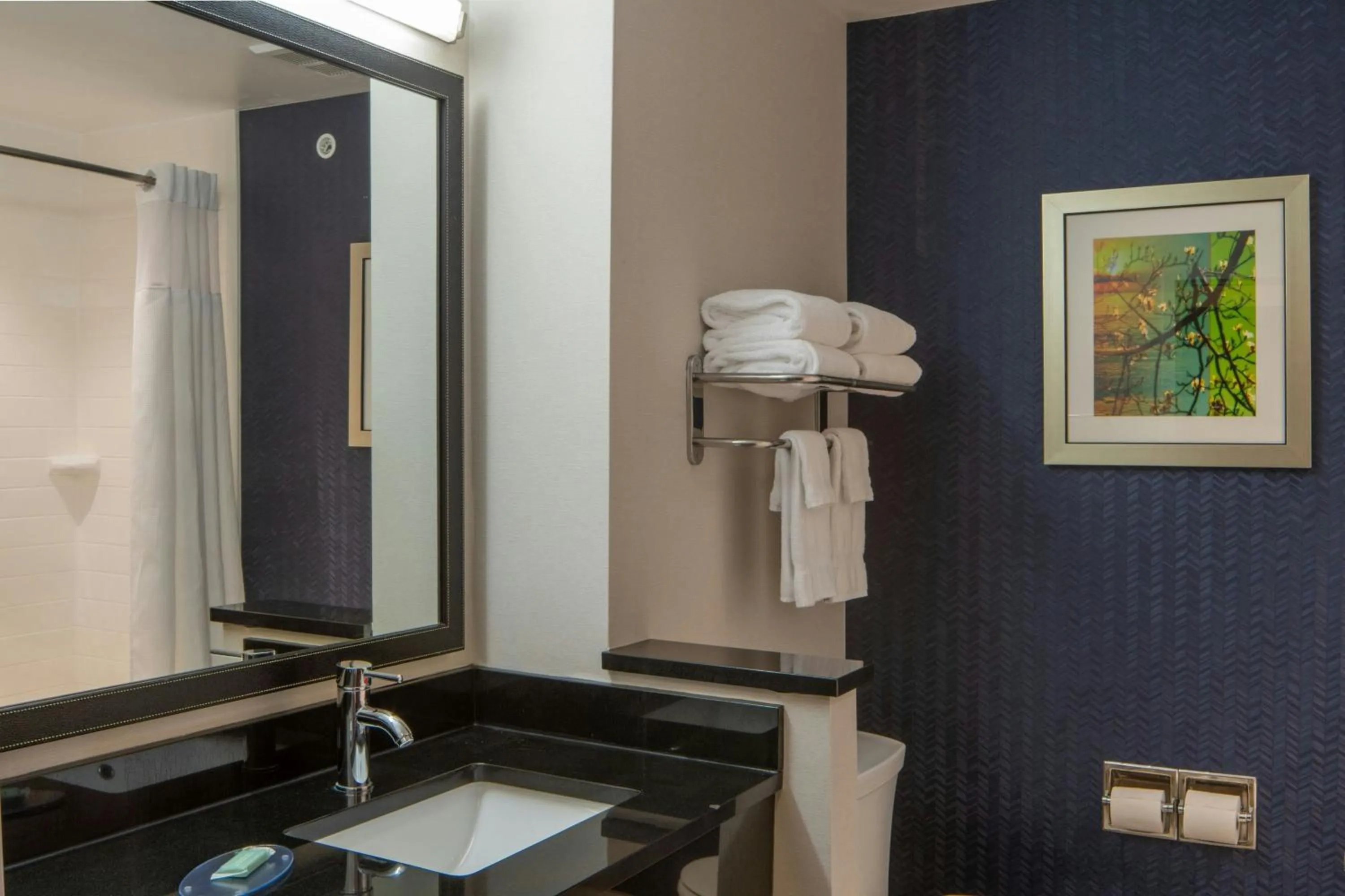 Bathroom in Fairfield Inn & Suites by Marriott Atmore