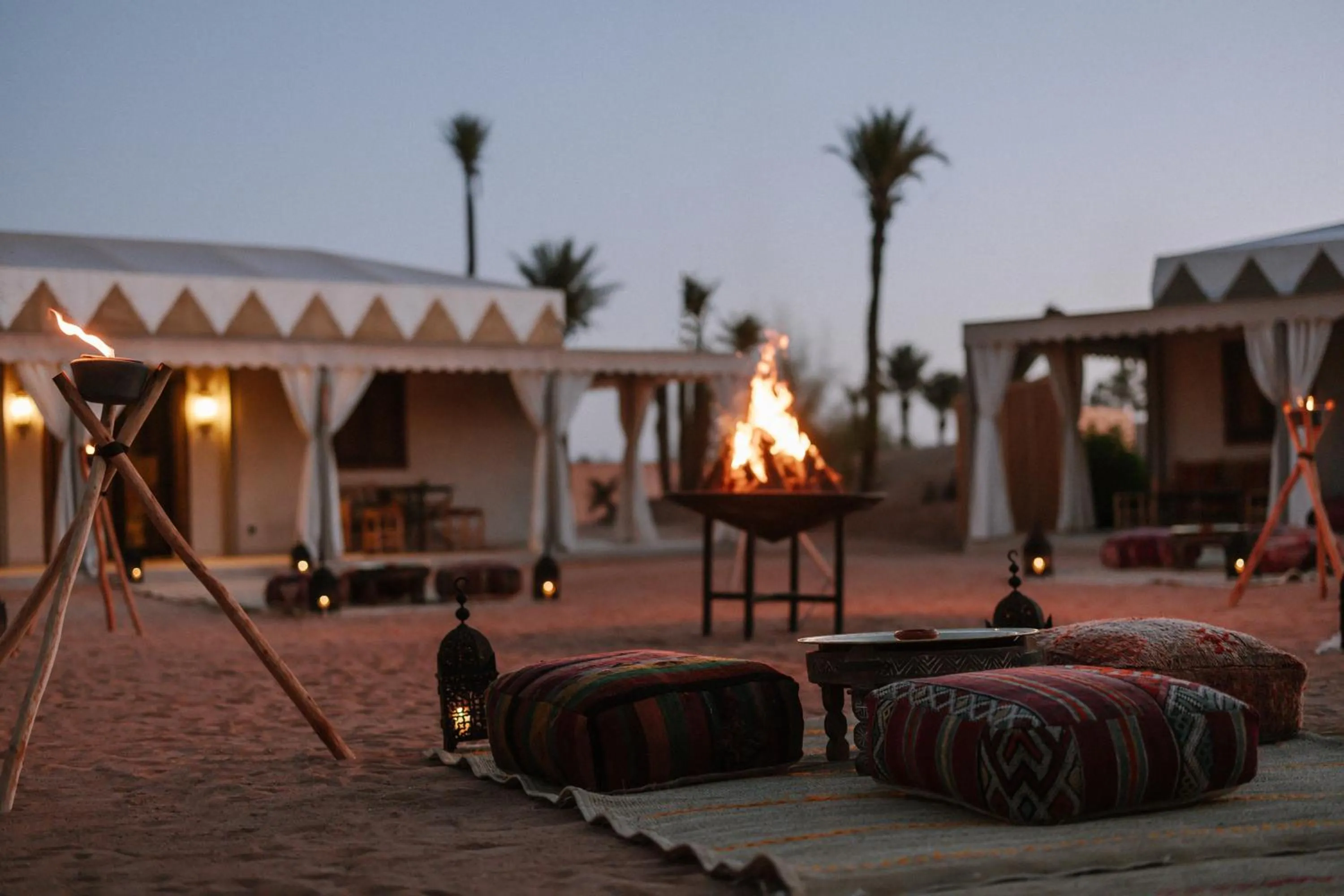 View (from property/room) in Palmeraie Oasis Camp - A member of Barcelo Hotel Group