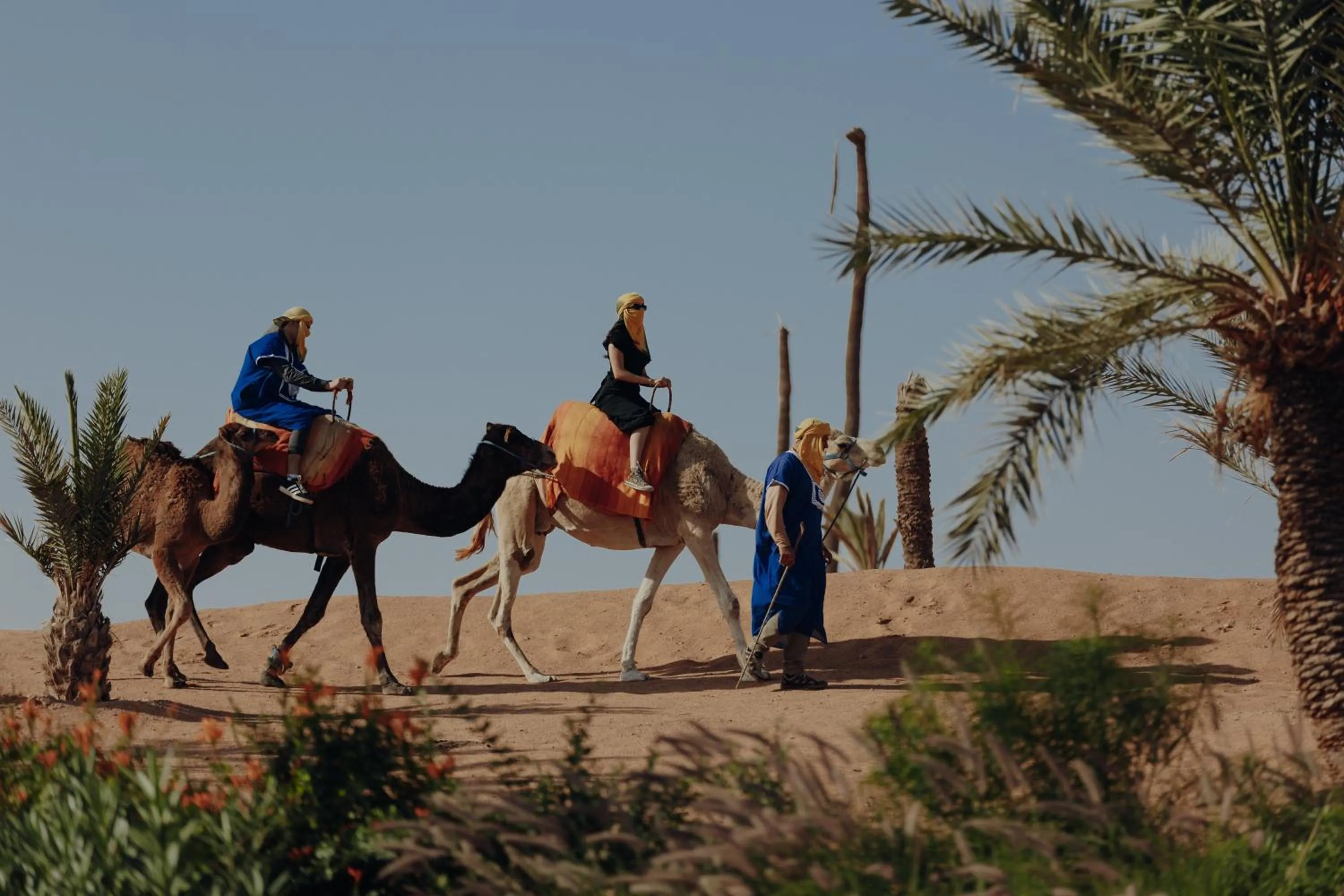 Day in Palmeraie Oasis Camp - A member of Barcelo Hotel Group