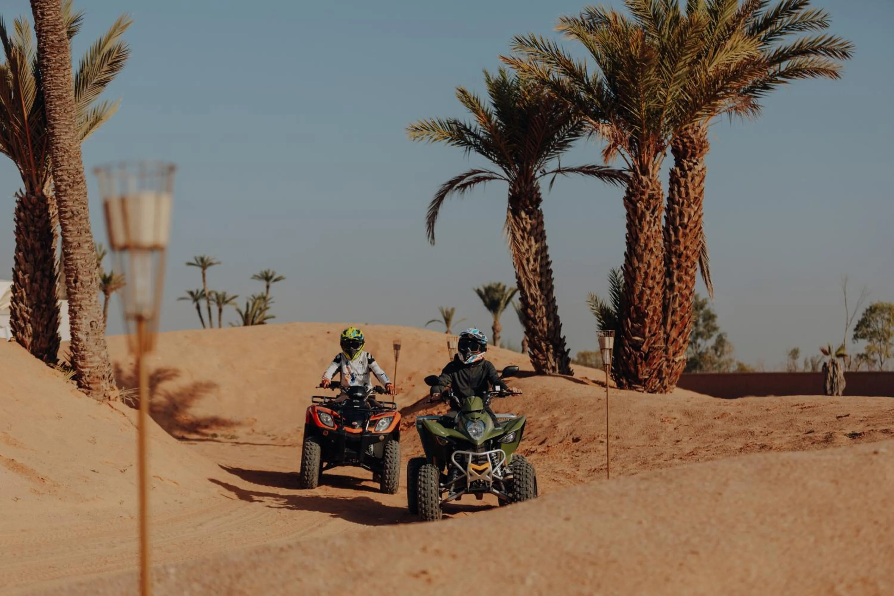 Natural landscape in Palmeraie Oasis Camp - A member of Barcelo Hotel Group