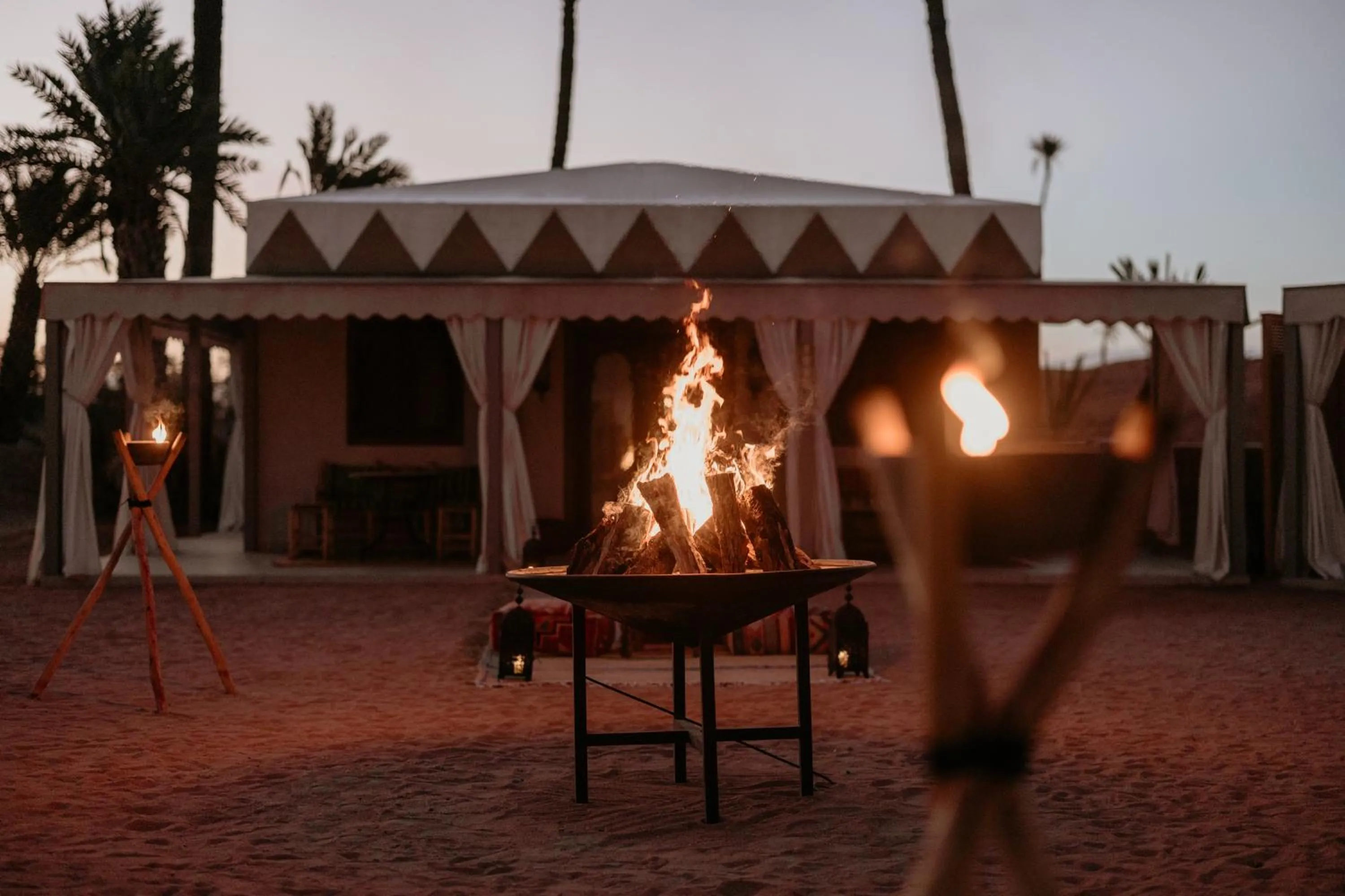 View (from property/room) in Palmeraie Oasis Camp - A member of Barcelo Hotel Group