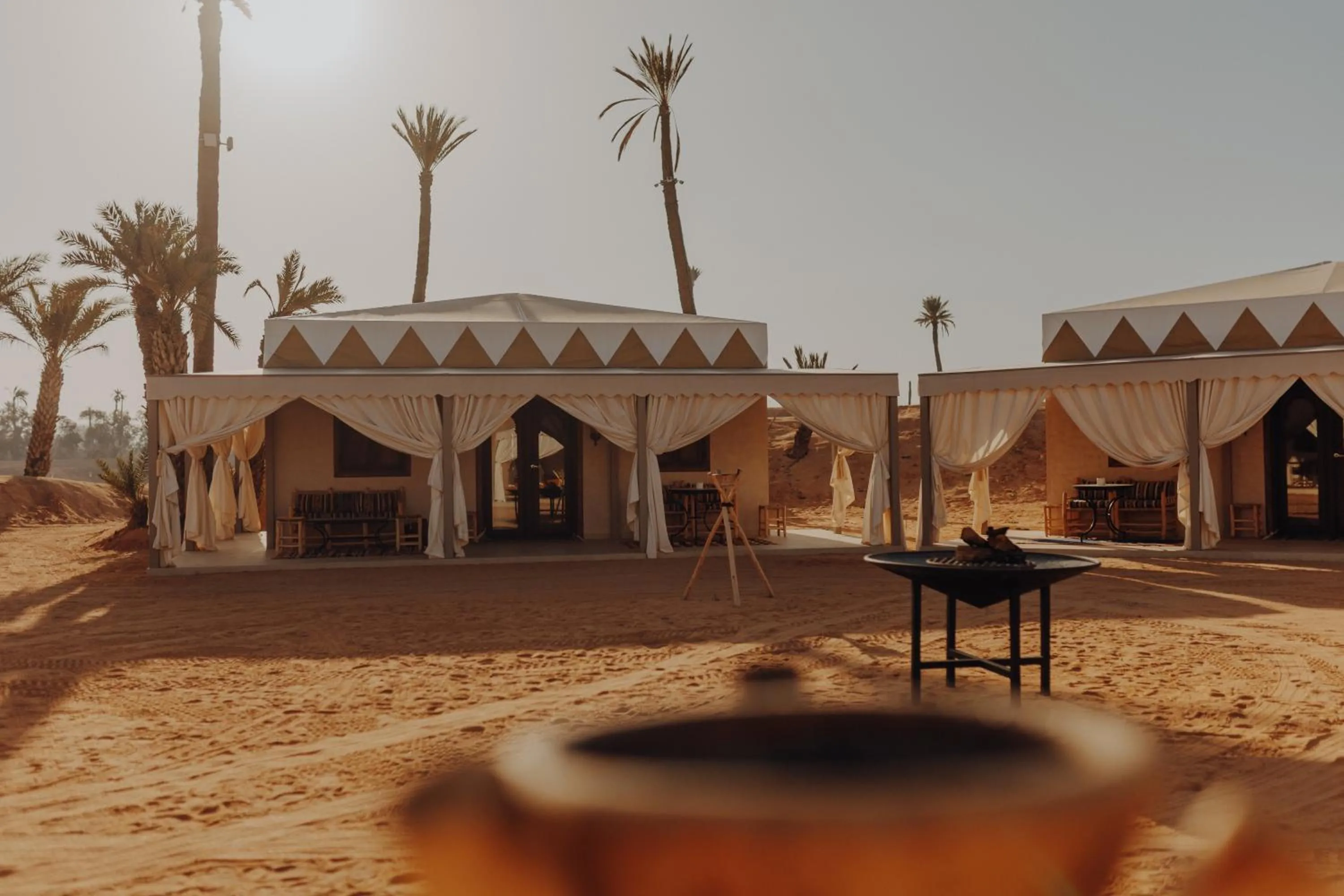 Natural landscape in Palmeraie Oasis Camp - A member of Barcelo Hotel Group