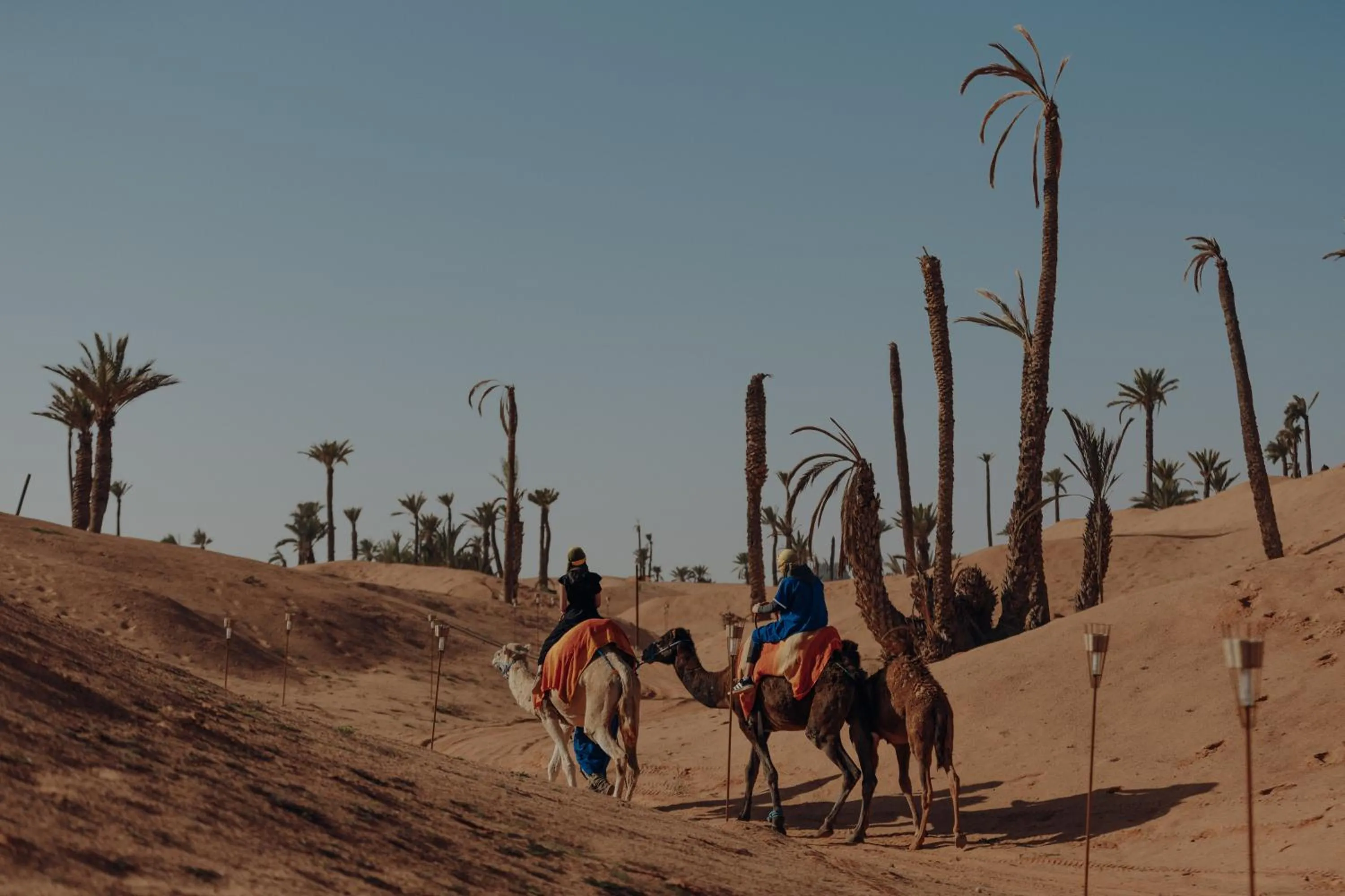 Day in Palmeraie Oasis Camp - A member of Barcelo Hotel Group