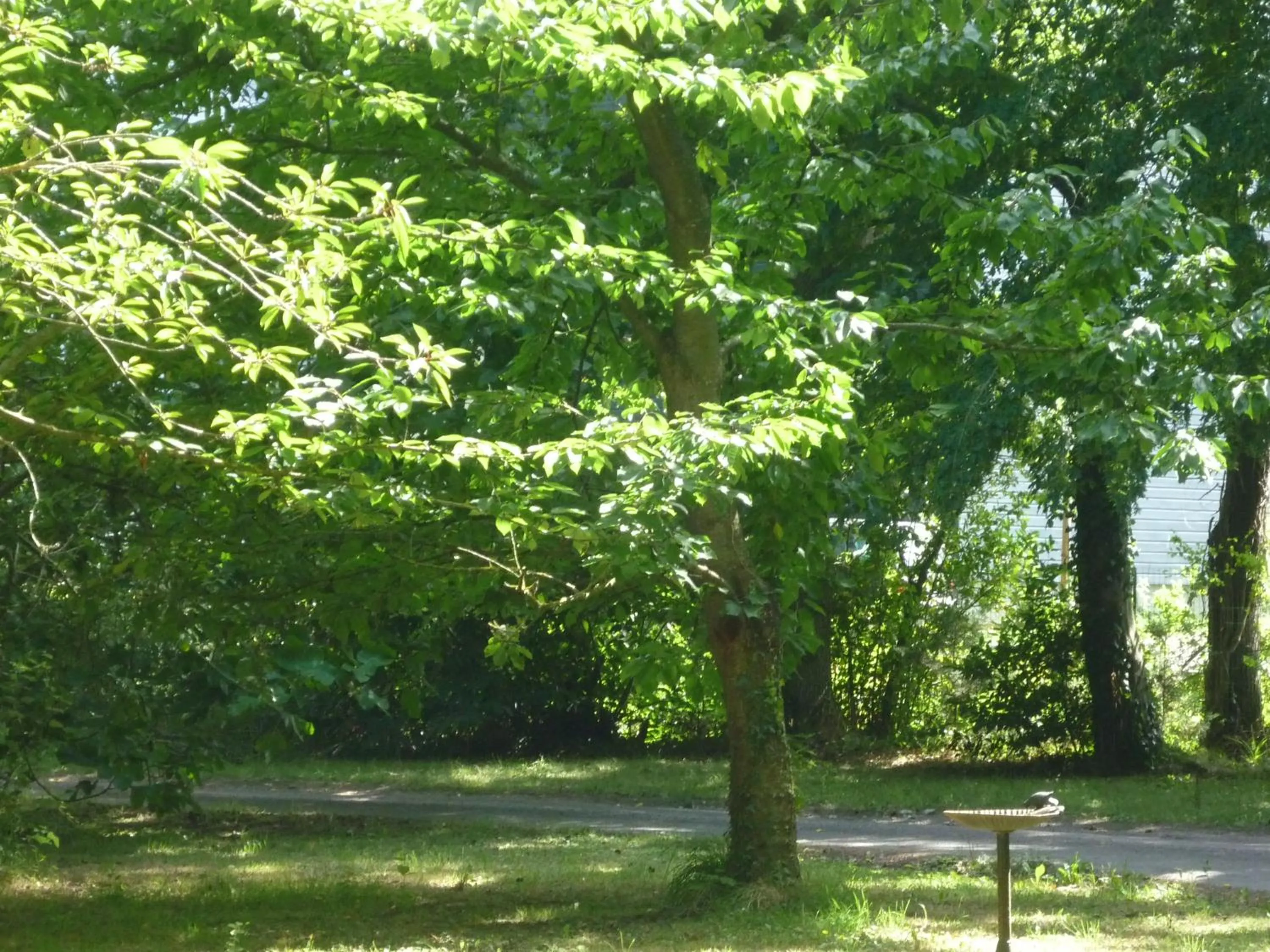 Domaine De La Bastille, Manoir du XVll, Bed and Breakfast