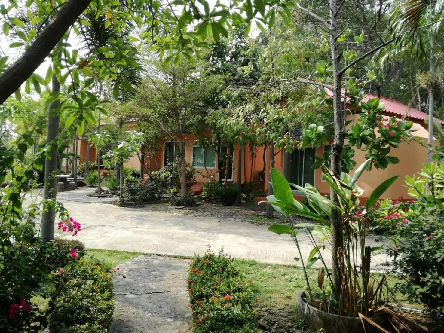 Mountain view in Rimpuhill resort