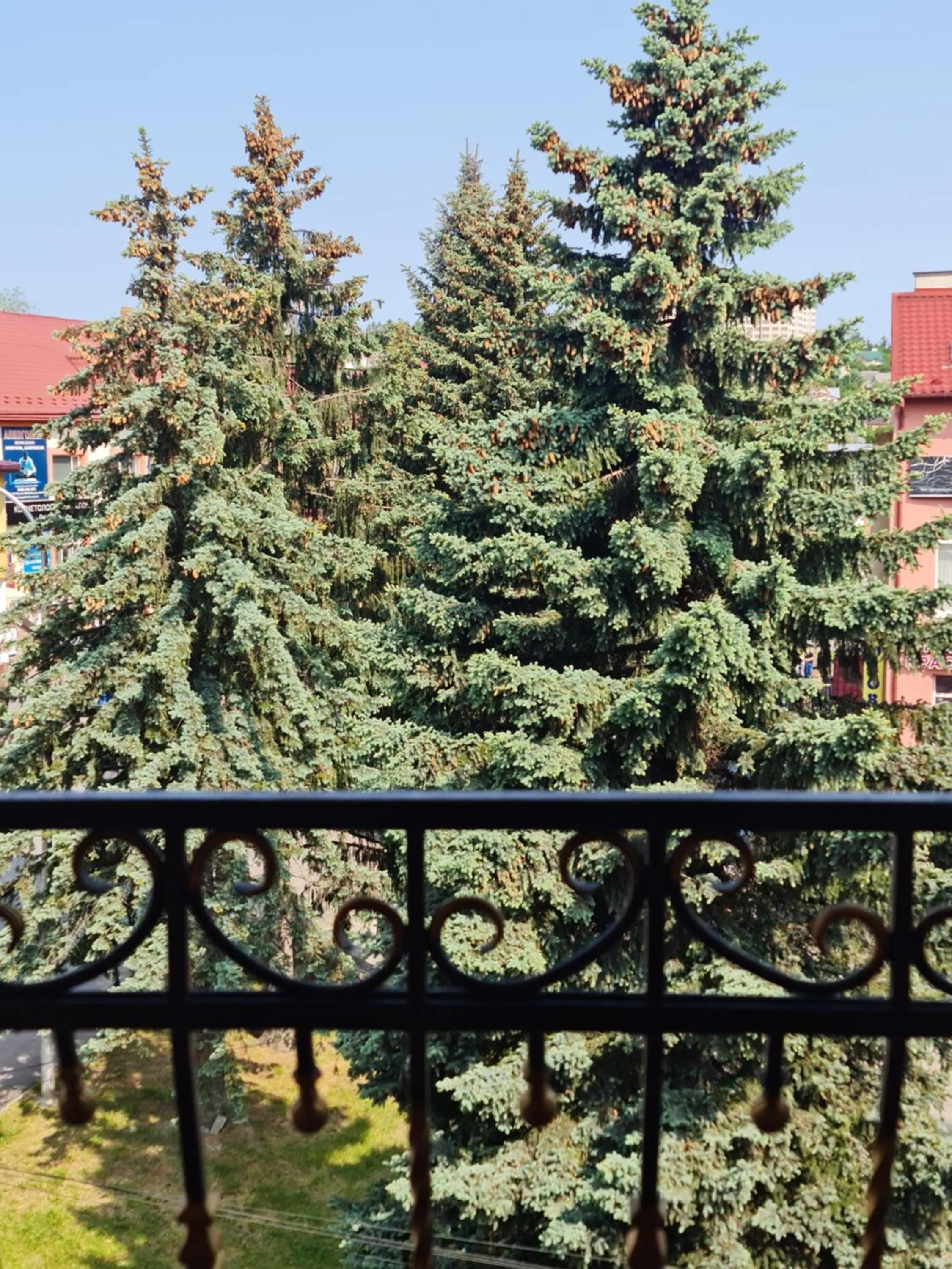 Sofia Hotel & Spa Truskavets