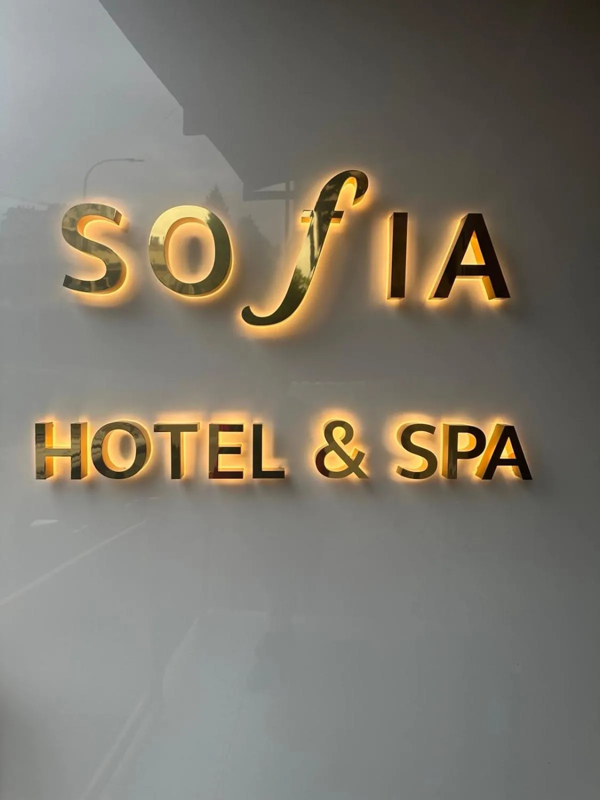 Sofia Hotel & Spa Truskavets