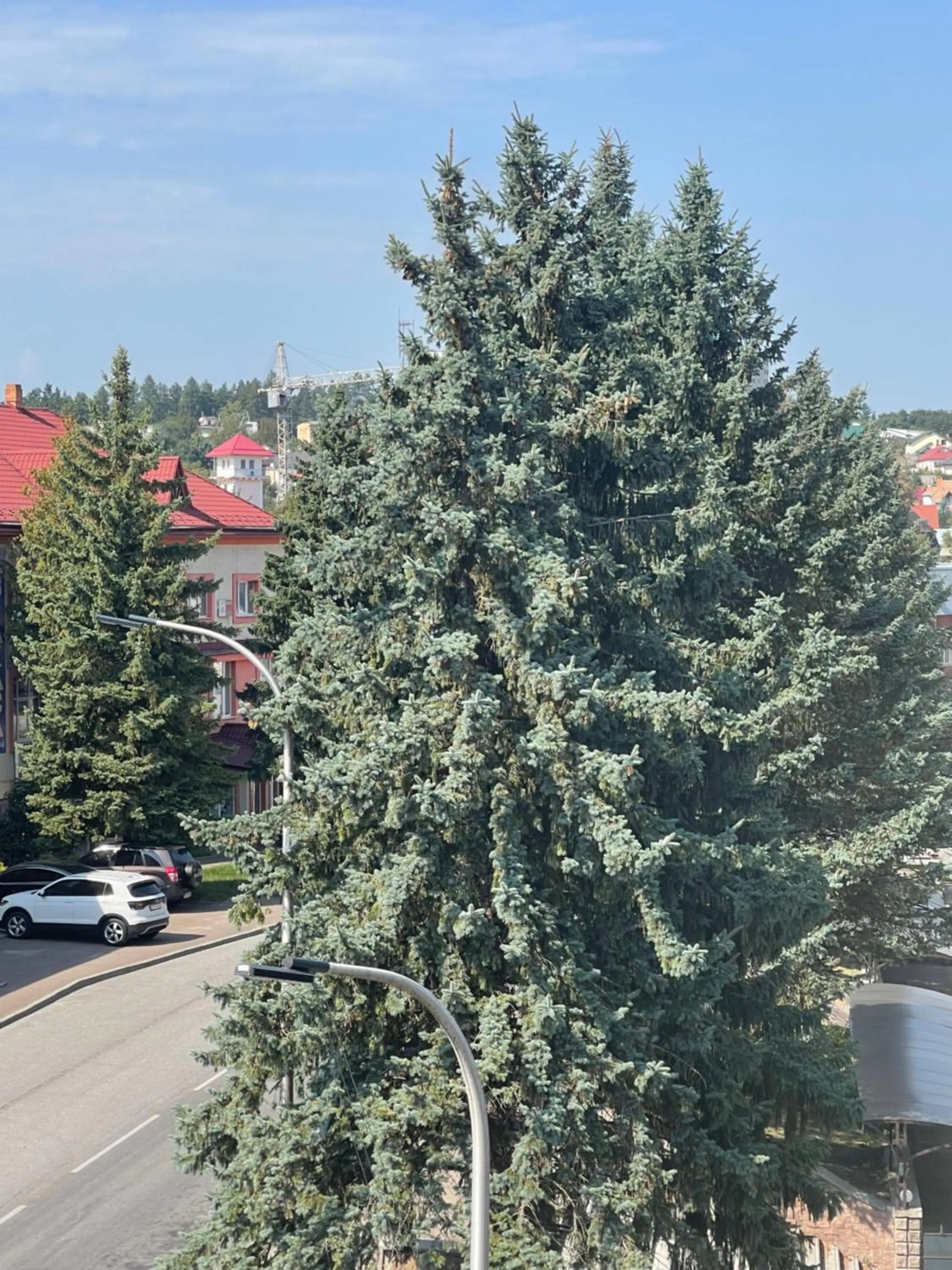 Sofia Hotel & Spa Truskavets