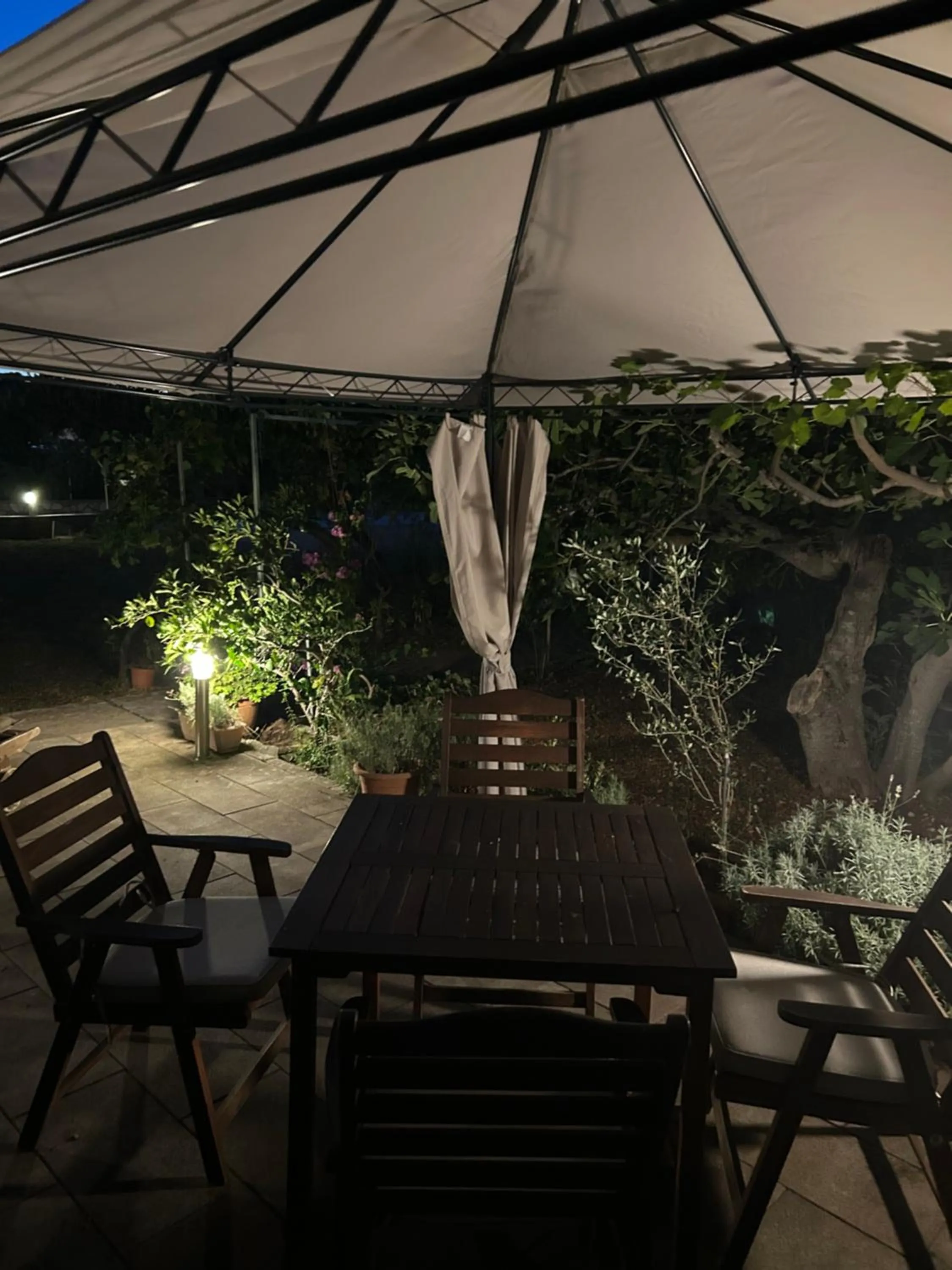 Patio in Apartments Irena