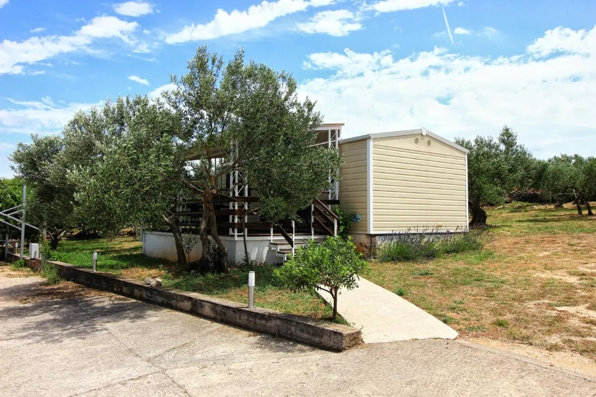 Property building in Apartments Irena