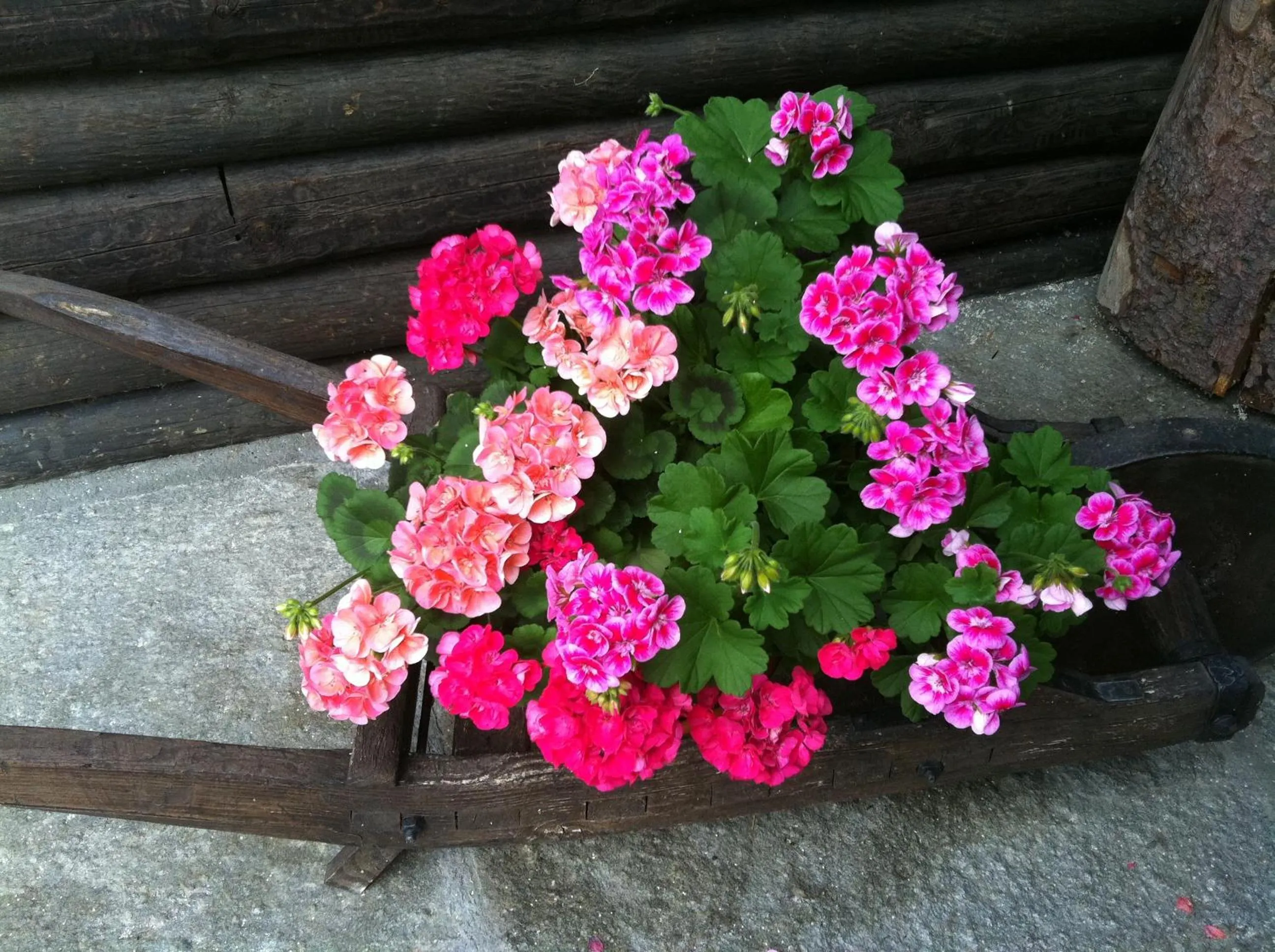 Decorative detail in Residence Lo Peyo