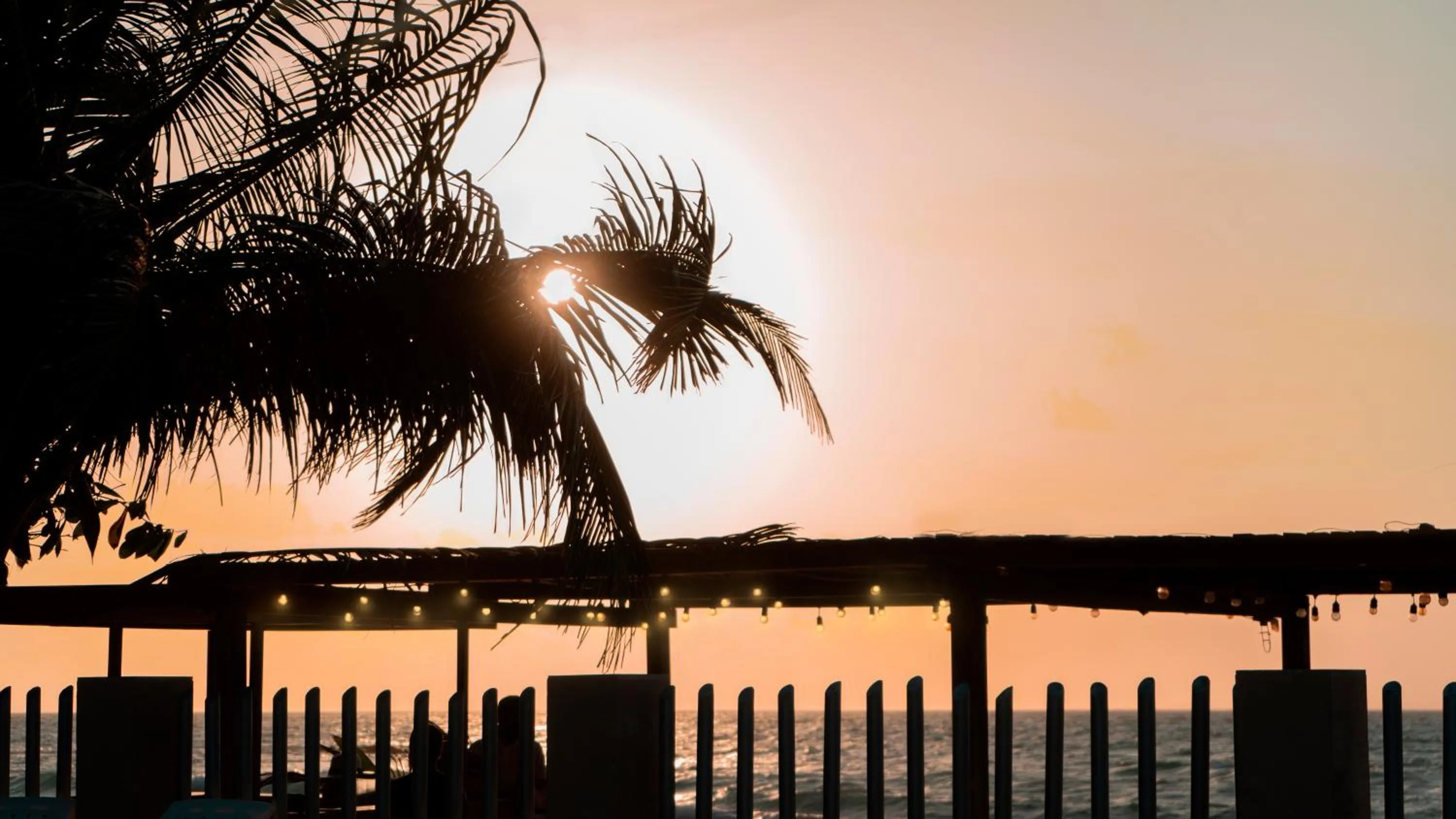 View (from property/room) in Camino Palmero Coveñas
