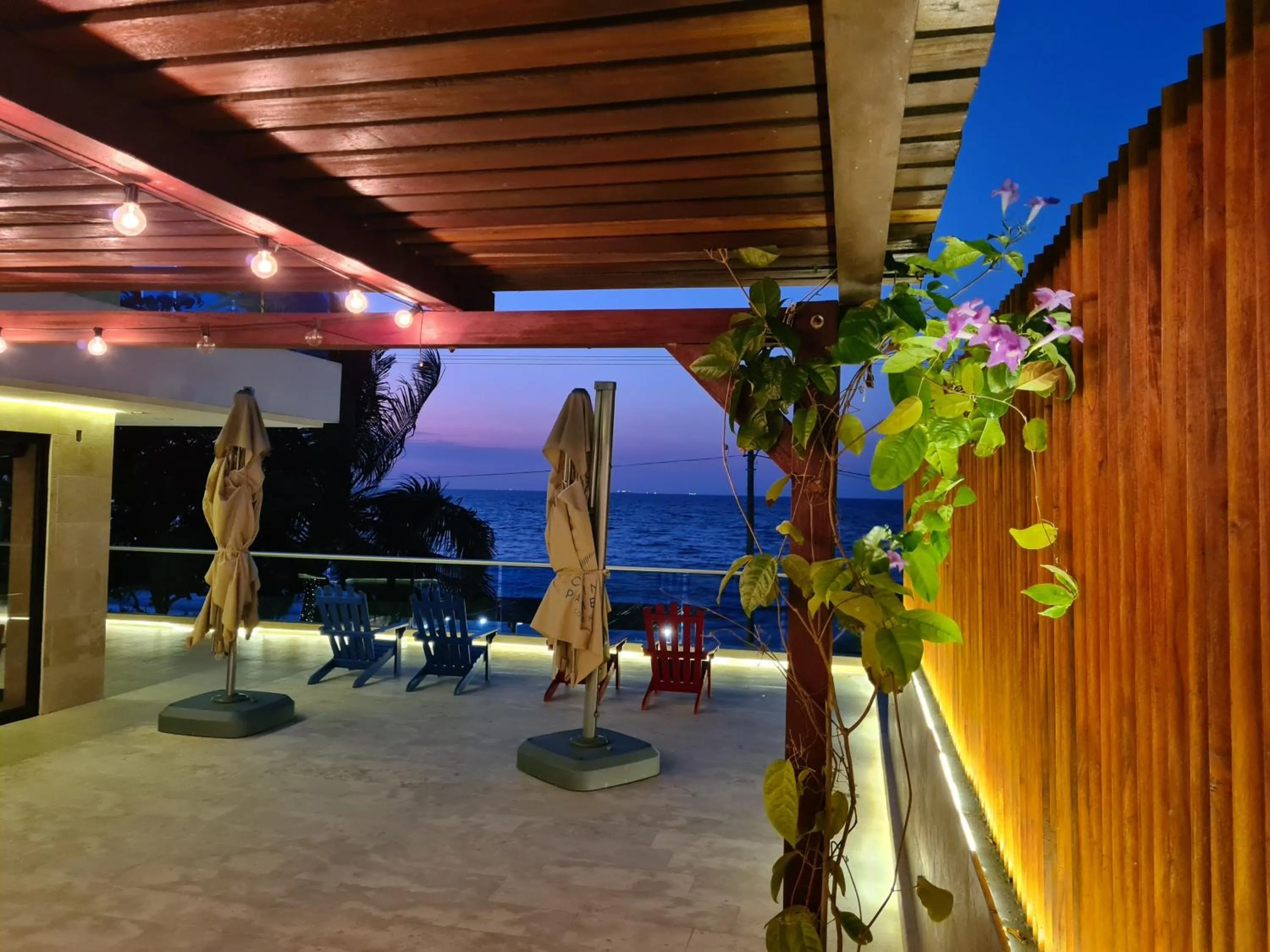 View (from property/room) in Camino Palmero Coveñas