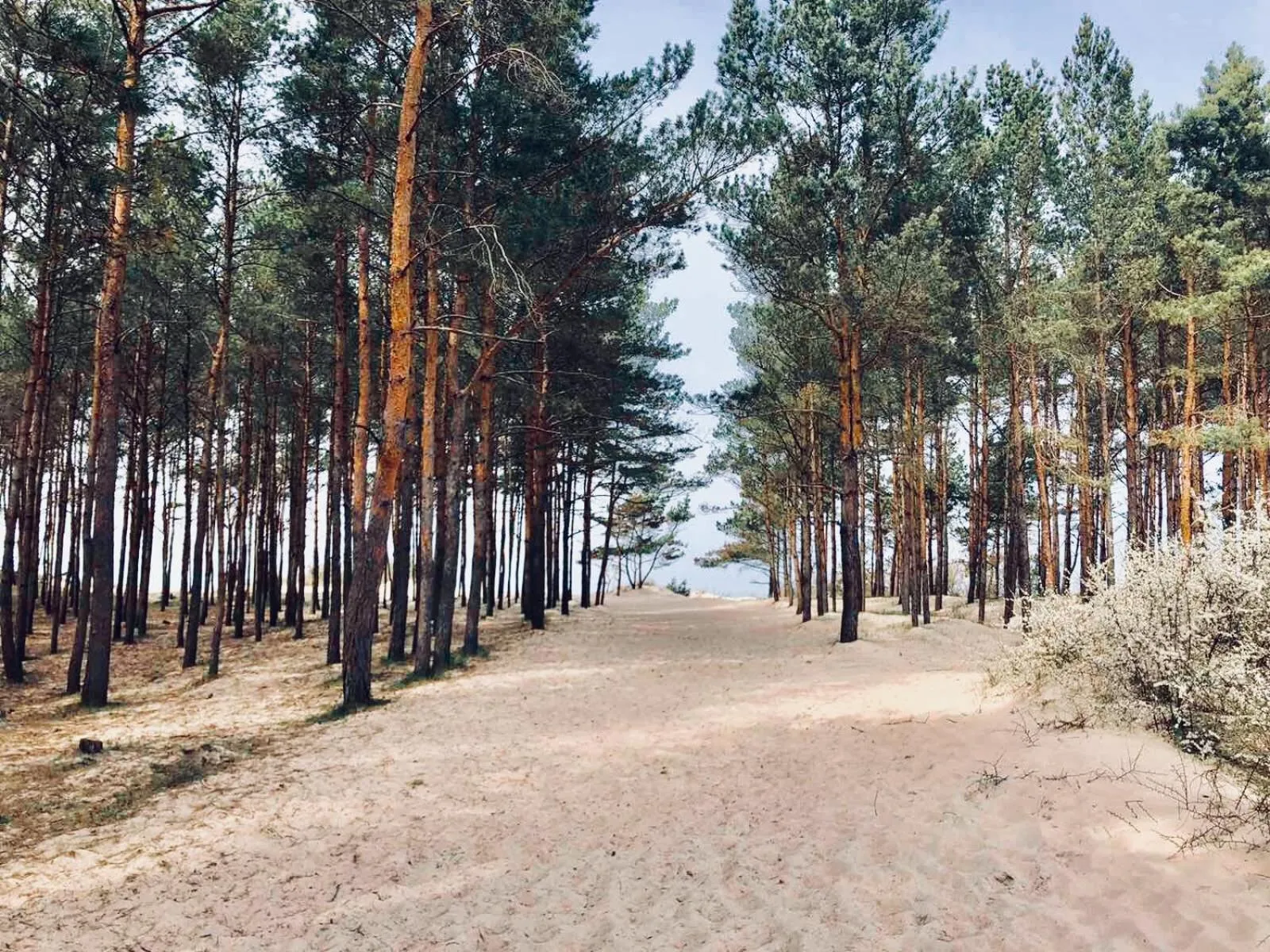Nearby landmark in Ośrodek Sea Star Premium