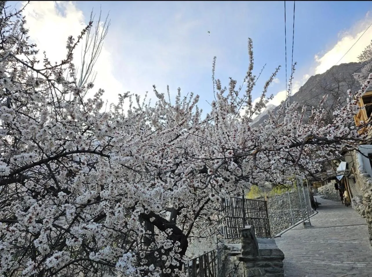The Guest House Hunza