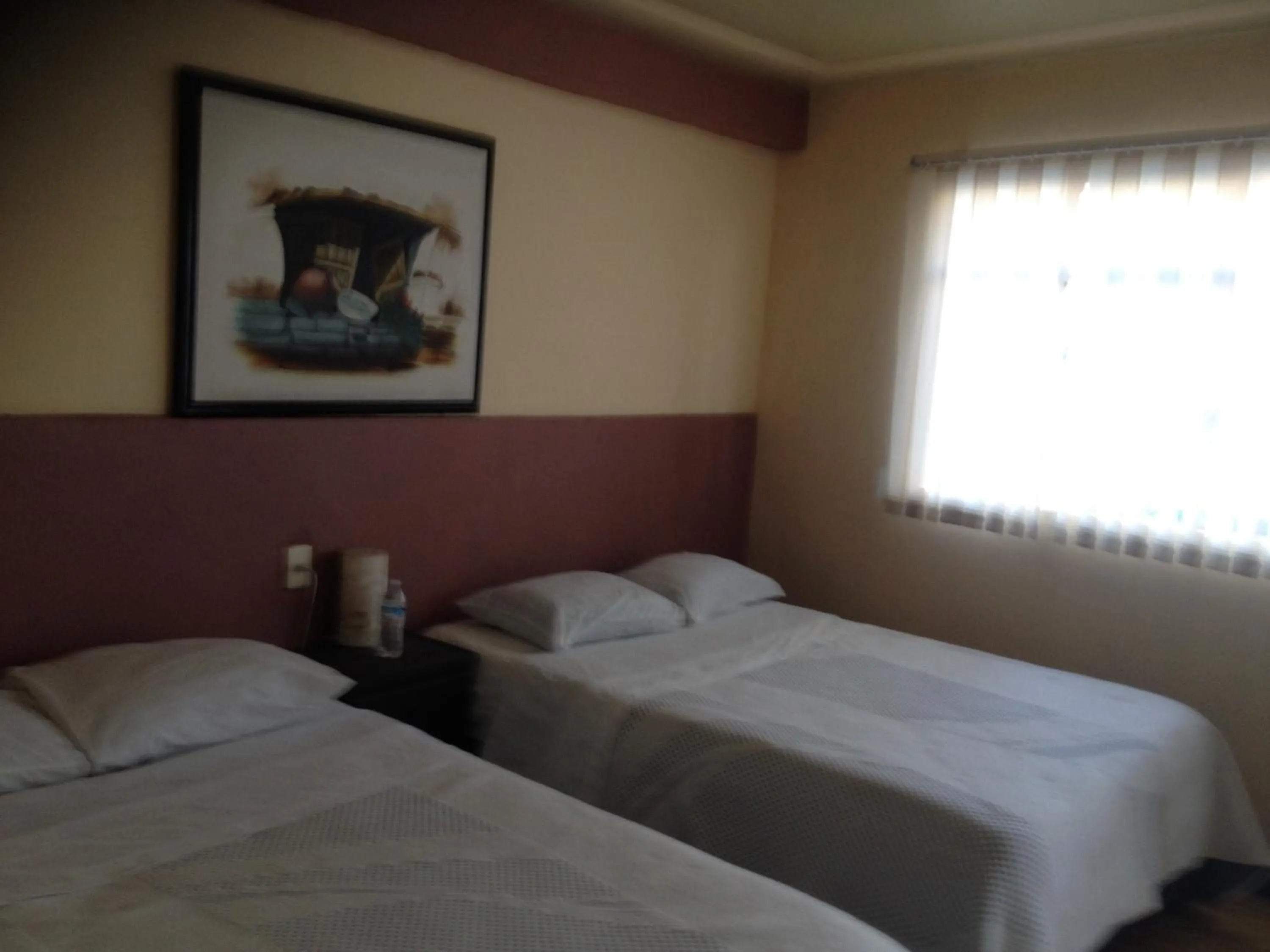 Classic Twin Room in Pensión Aguayo