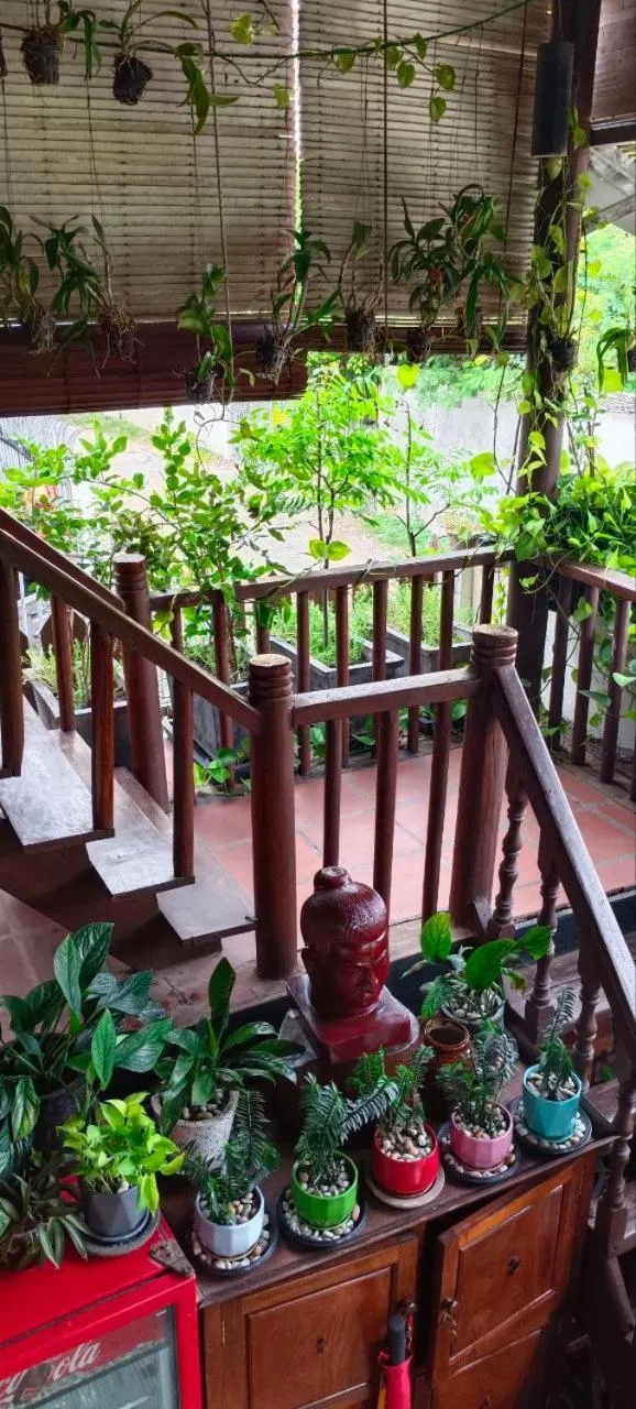 Lobby or reception in Maison Model d'Angkor