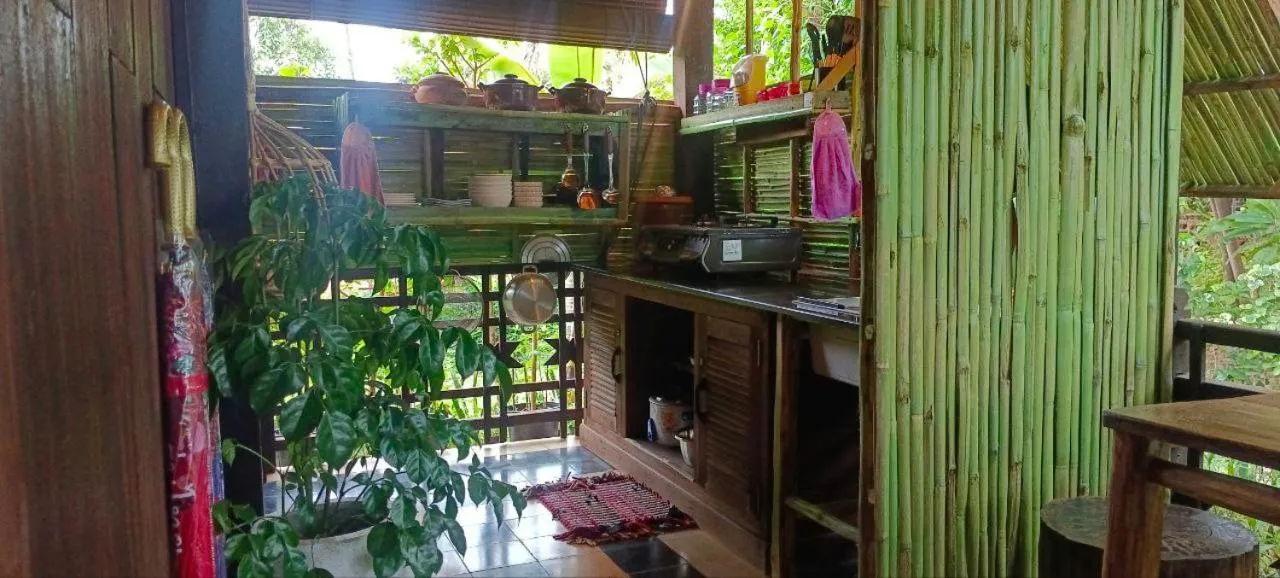 Garden in Maison Model d'Angkor