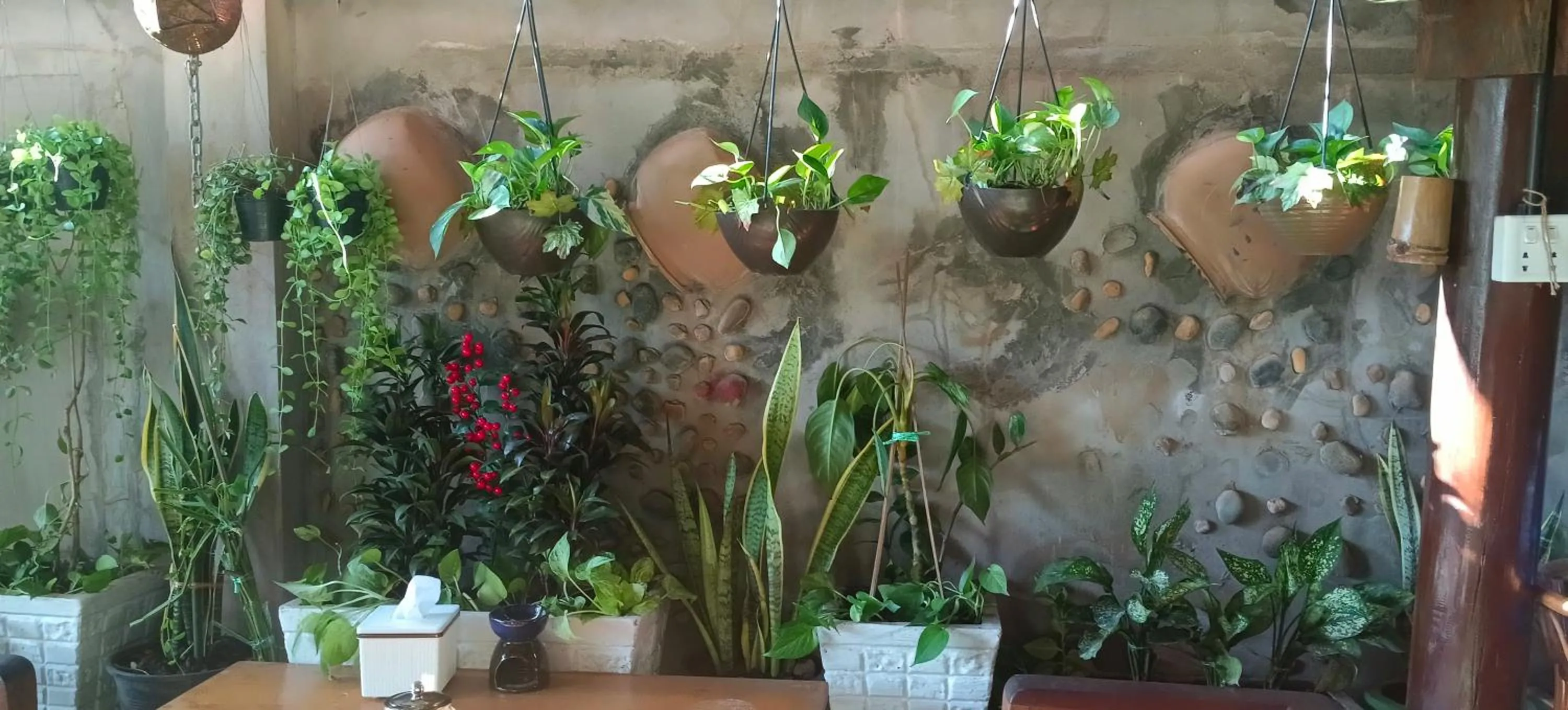 Garden in Maison Model d'Angkor