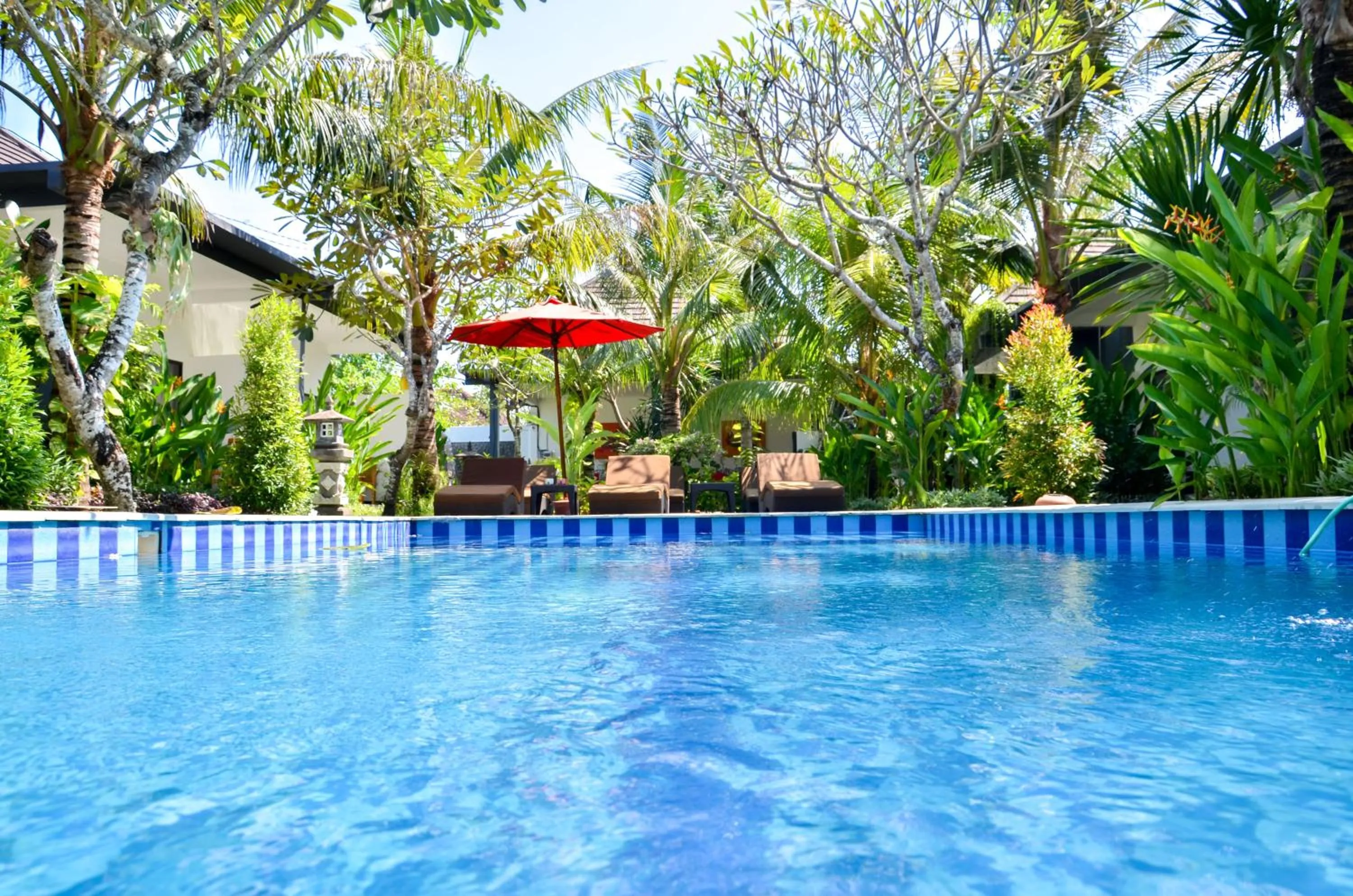 Swimming pool in Palm Garden Bali