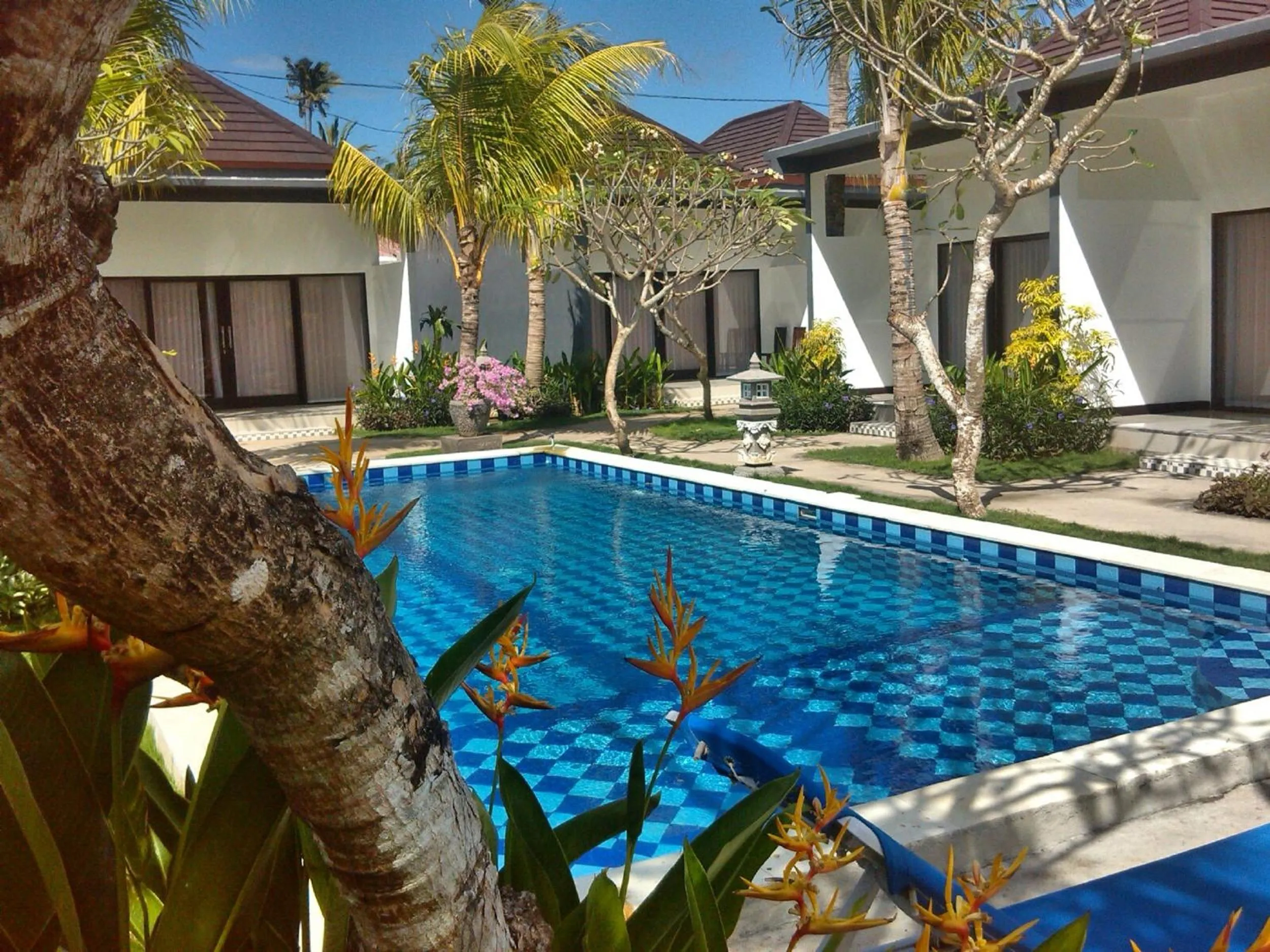 Pool view in Palm Garden Bali