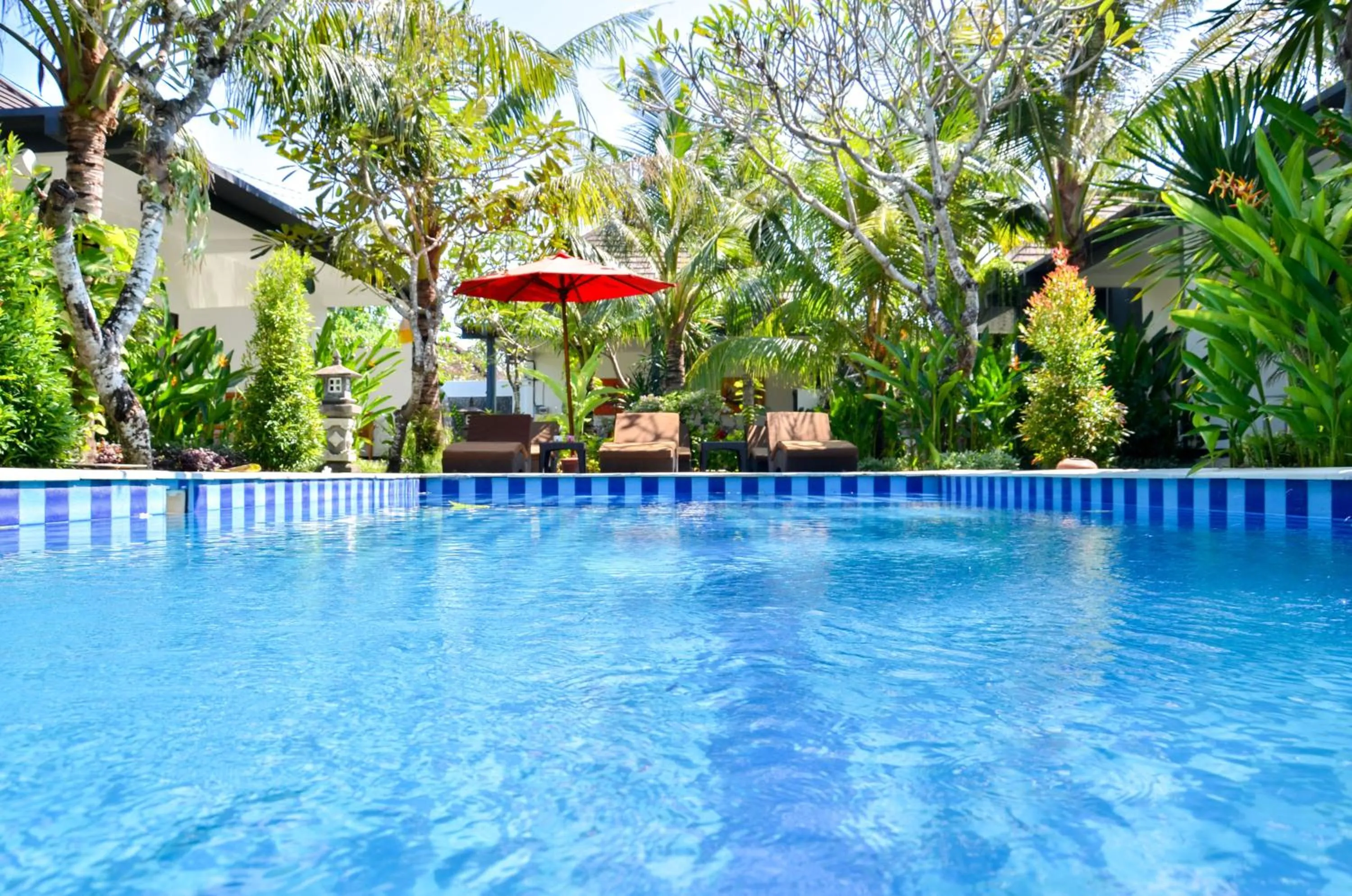 Swimming pool in Palm Garden Bali