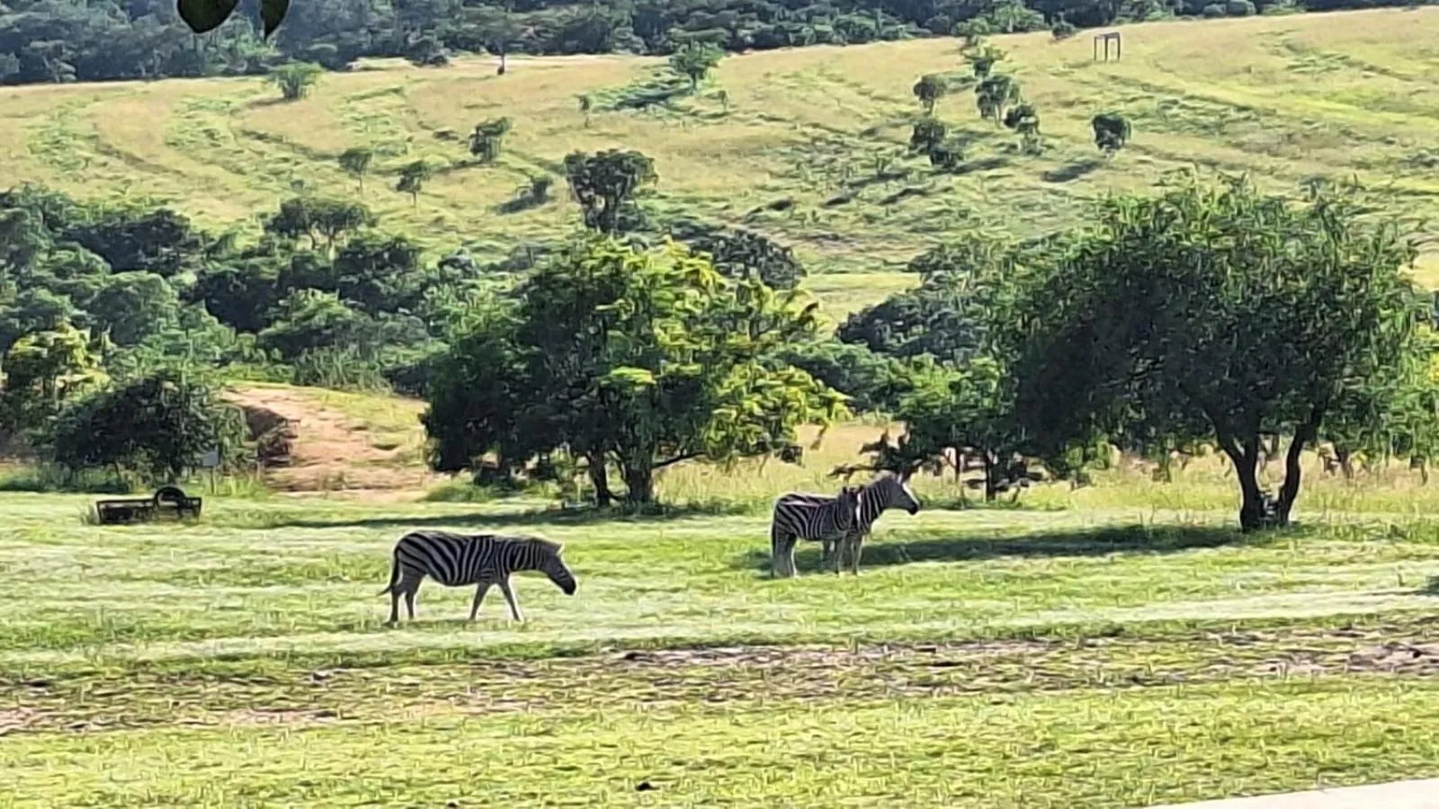 Klipspringer Lodge