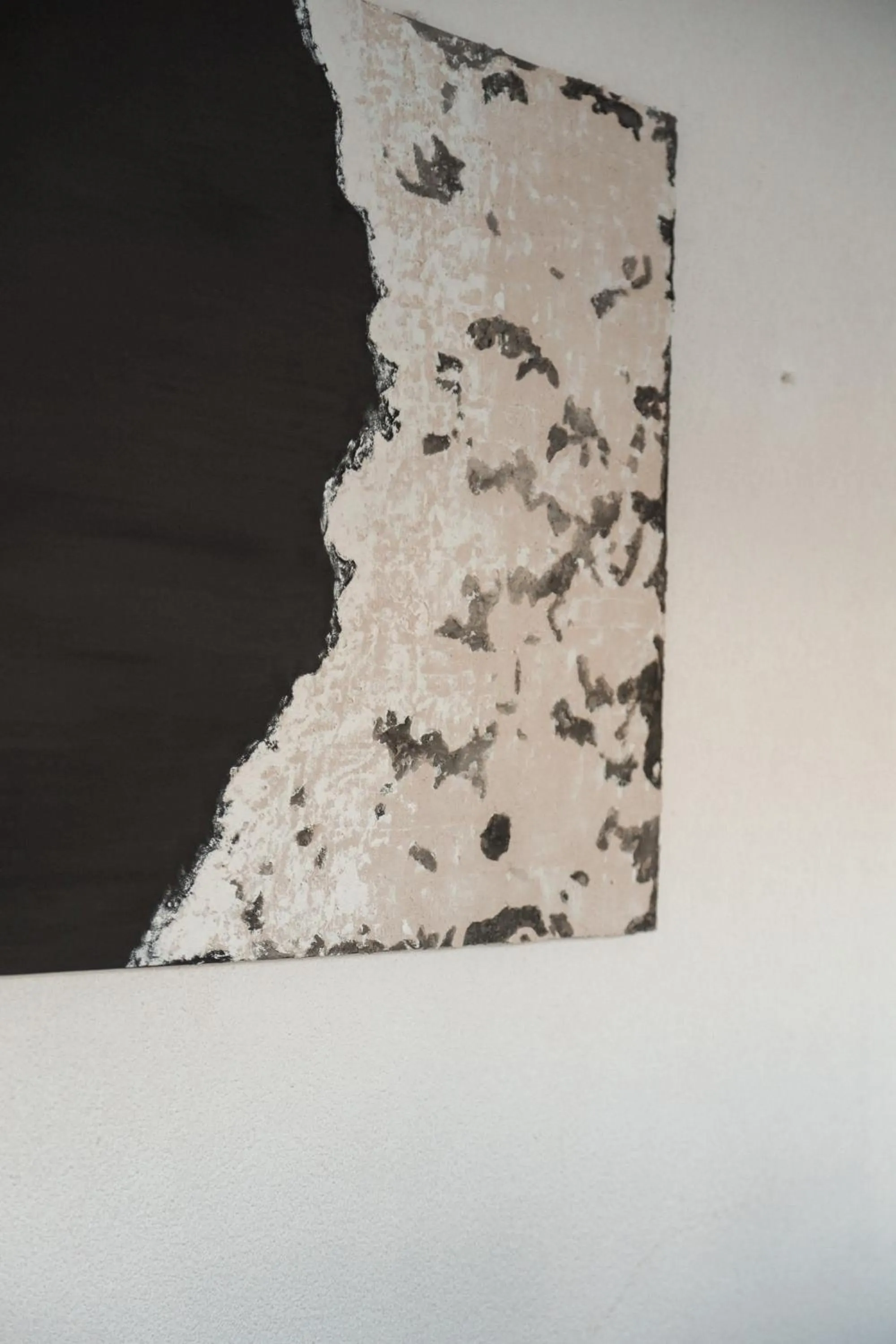 Property building in Doc's Hotel Kemer