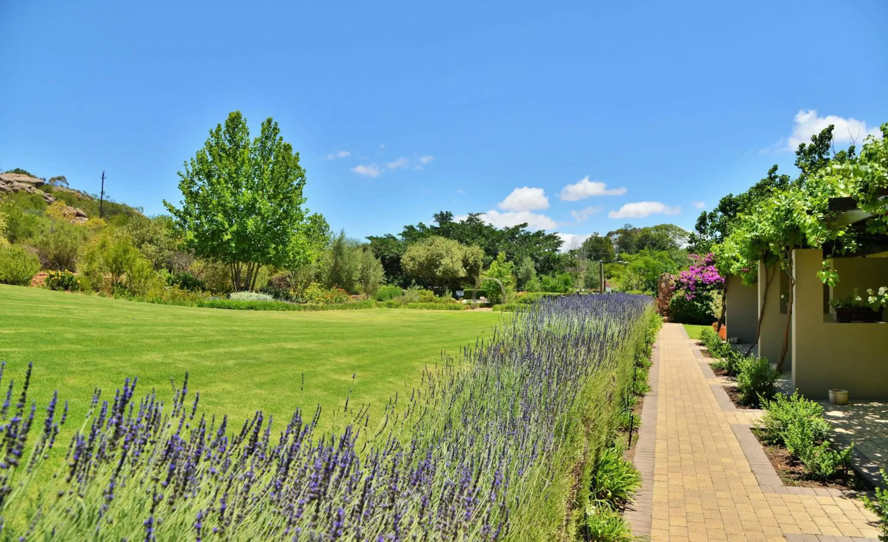 Garden view in Piekenierskloof Mountain Resort by Dream Resorts Garden view in Piekenierskloof Mountain Resort by Dream Resorts