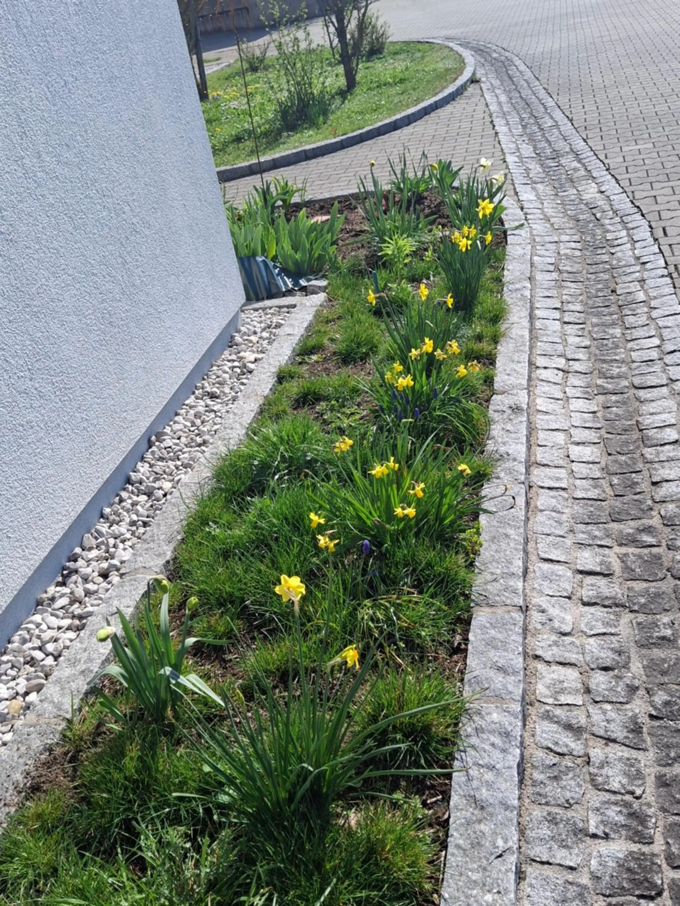 Property building in Gästehaus Watschinger