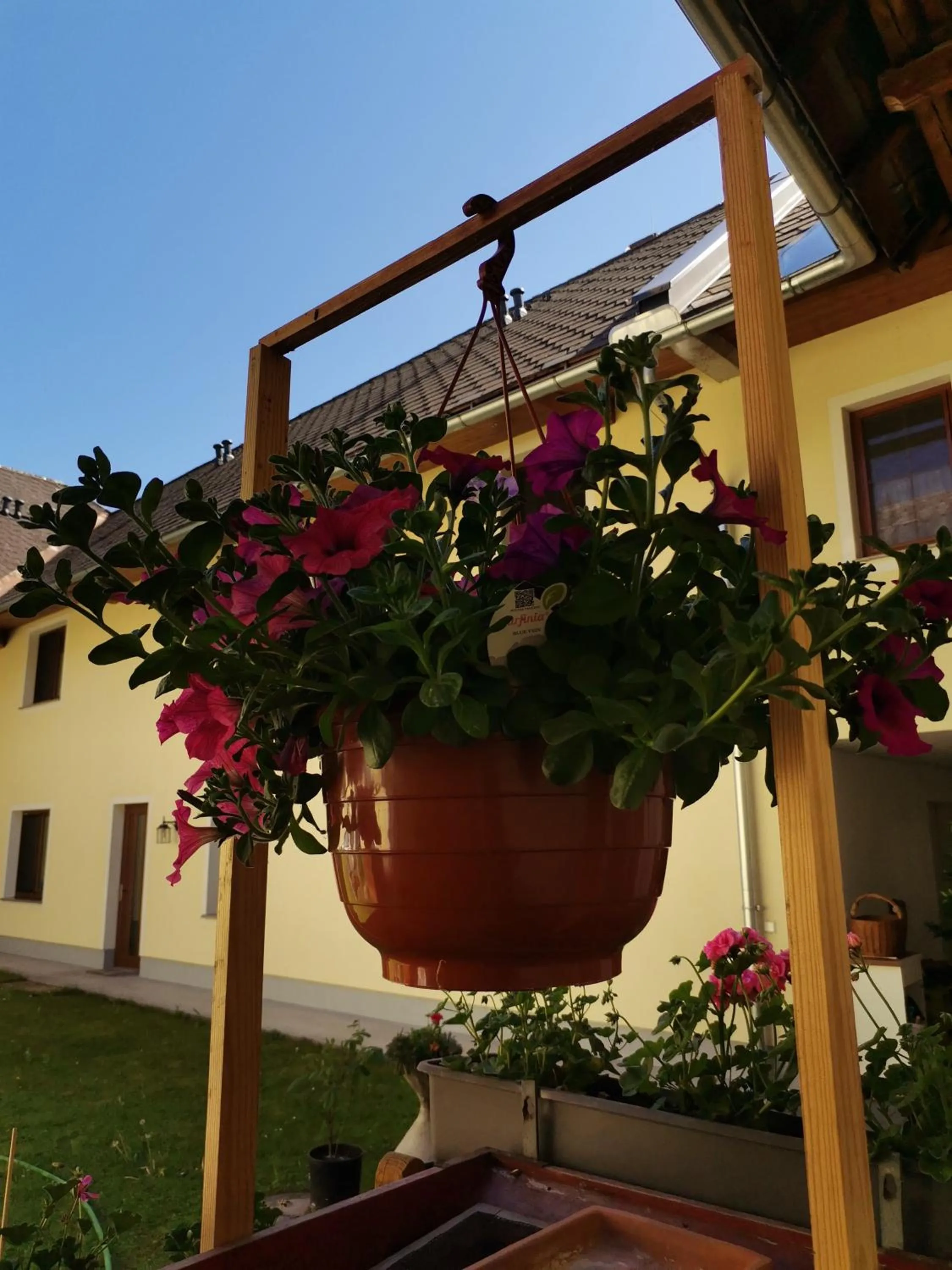 Patio in Gästehaus Watschinger