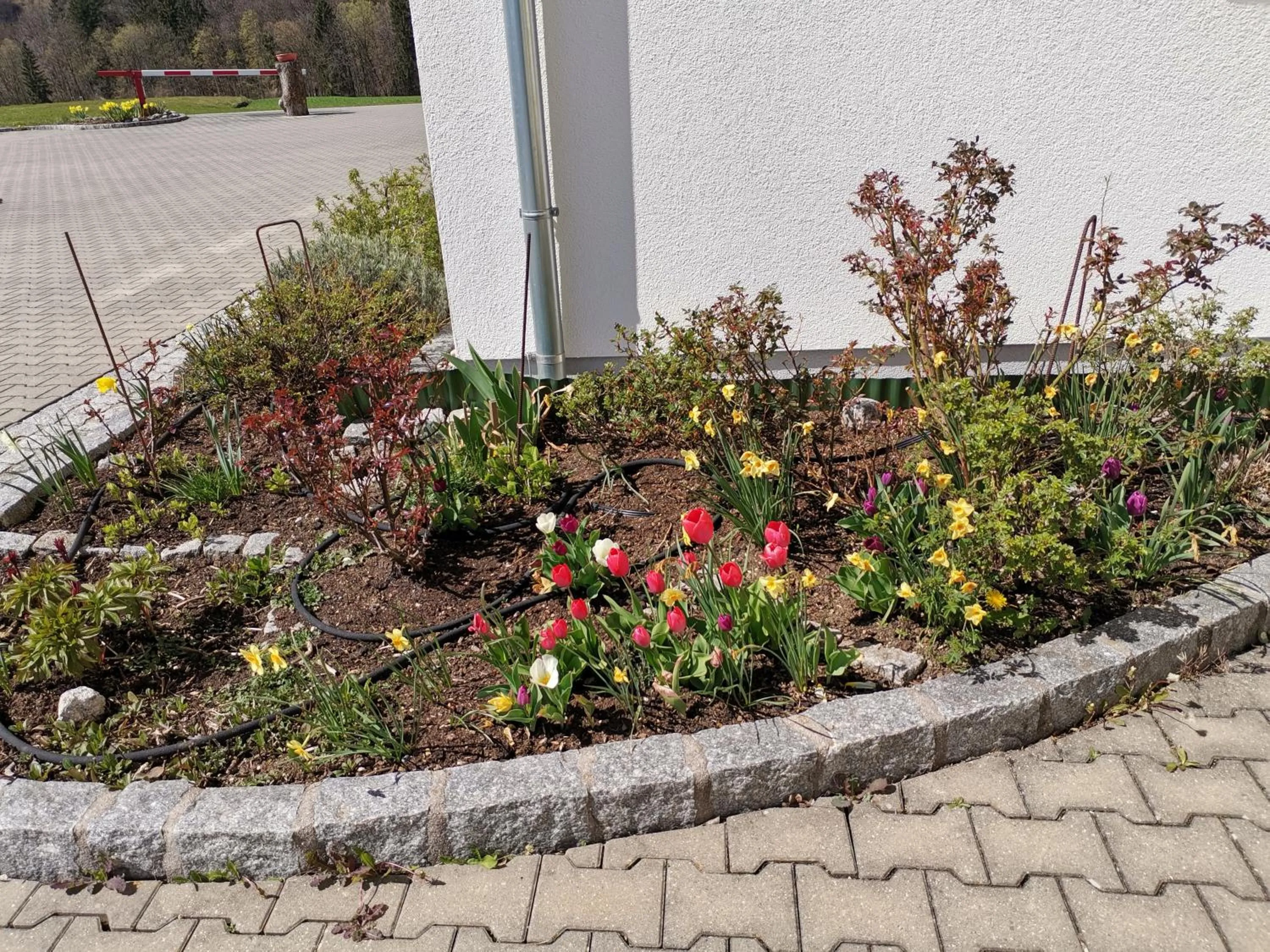 Facade/entrance in Gästehaus Watschinger