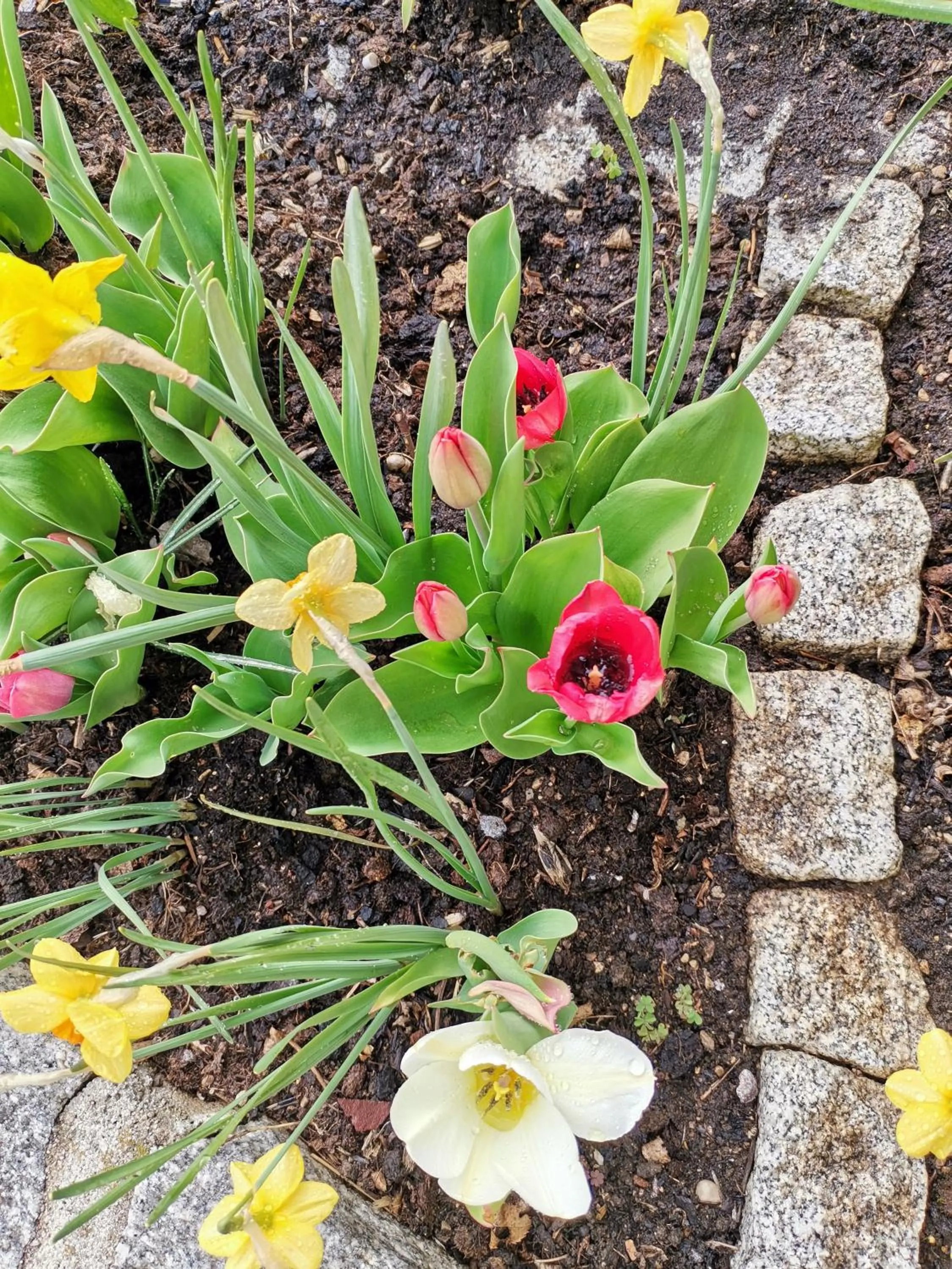 Facade/entrance in Gästehaus Watschinger