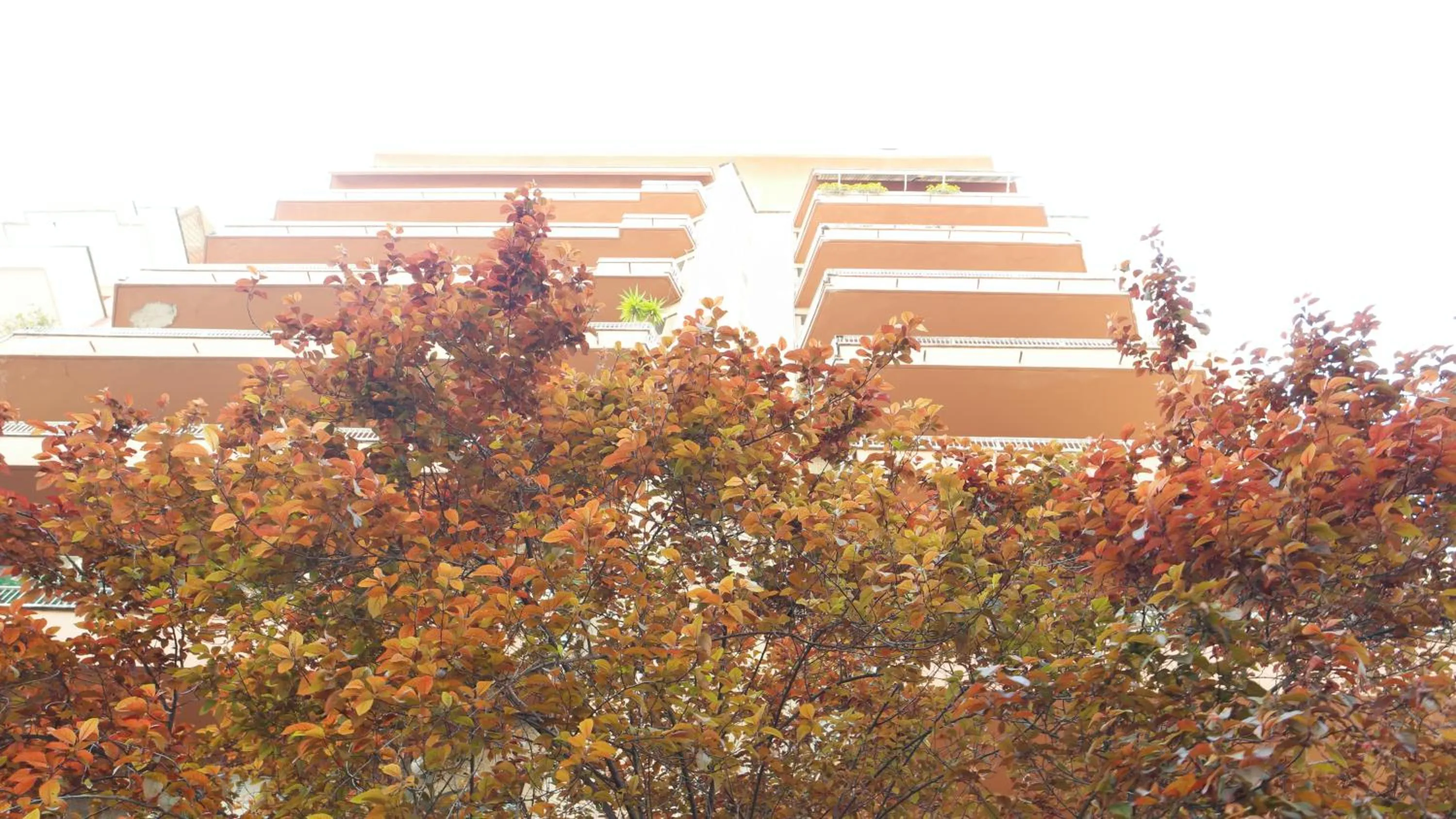 Landmark view in B&B La Perla di Roma