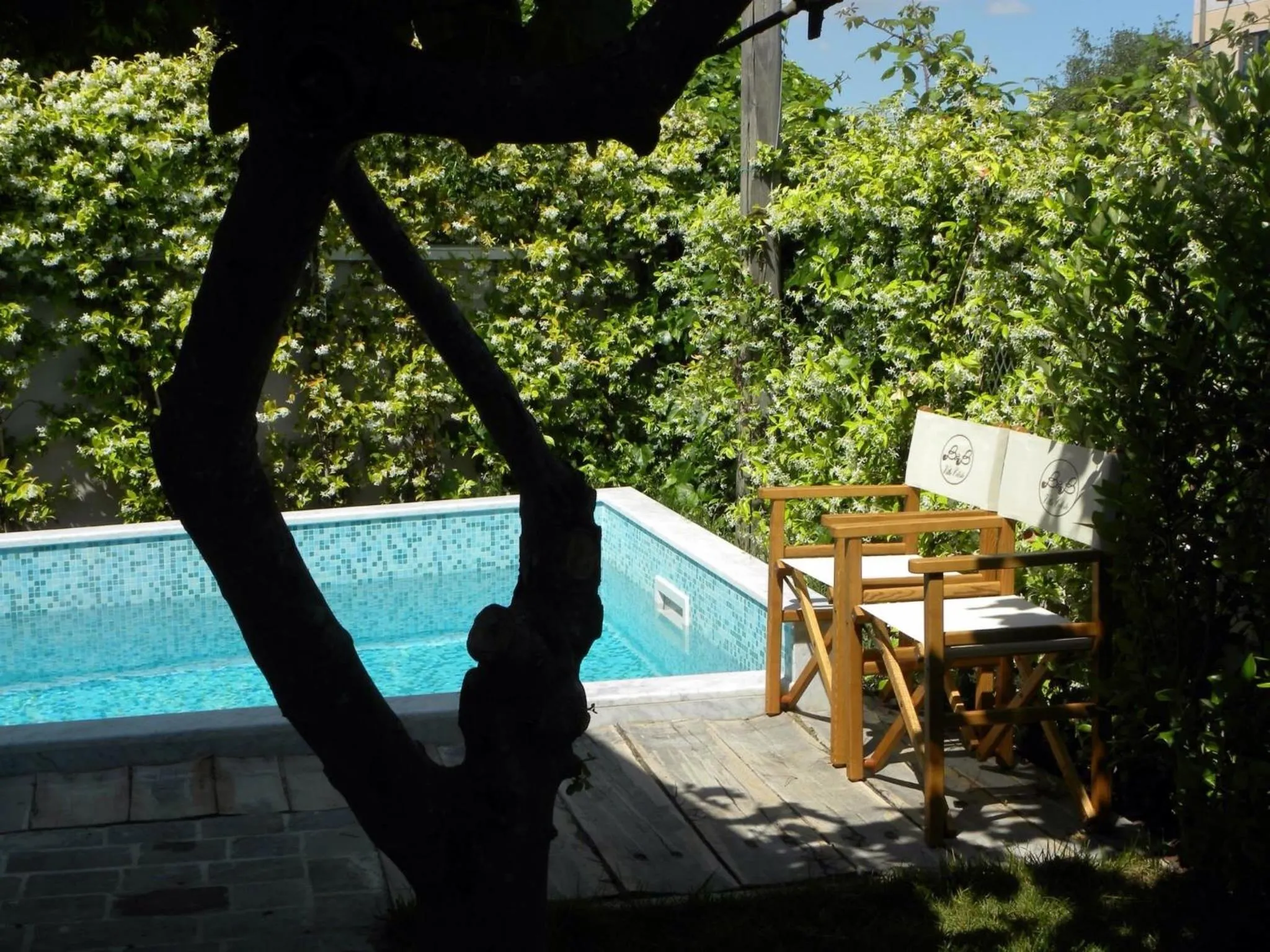 Pool view in B&B Villa Celeste