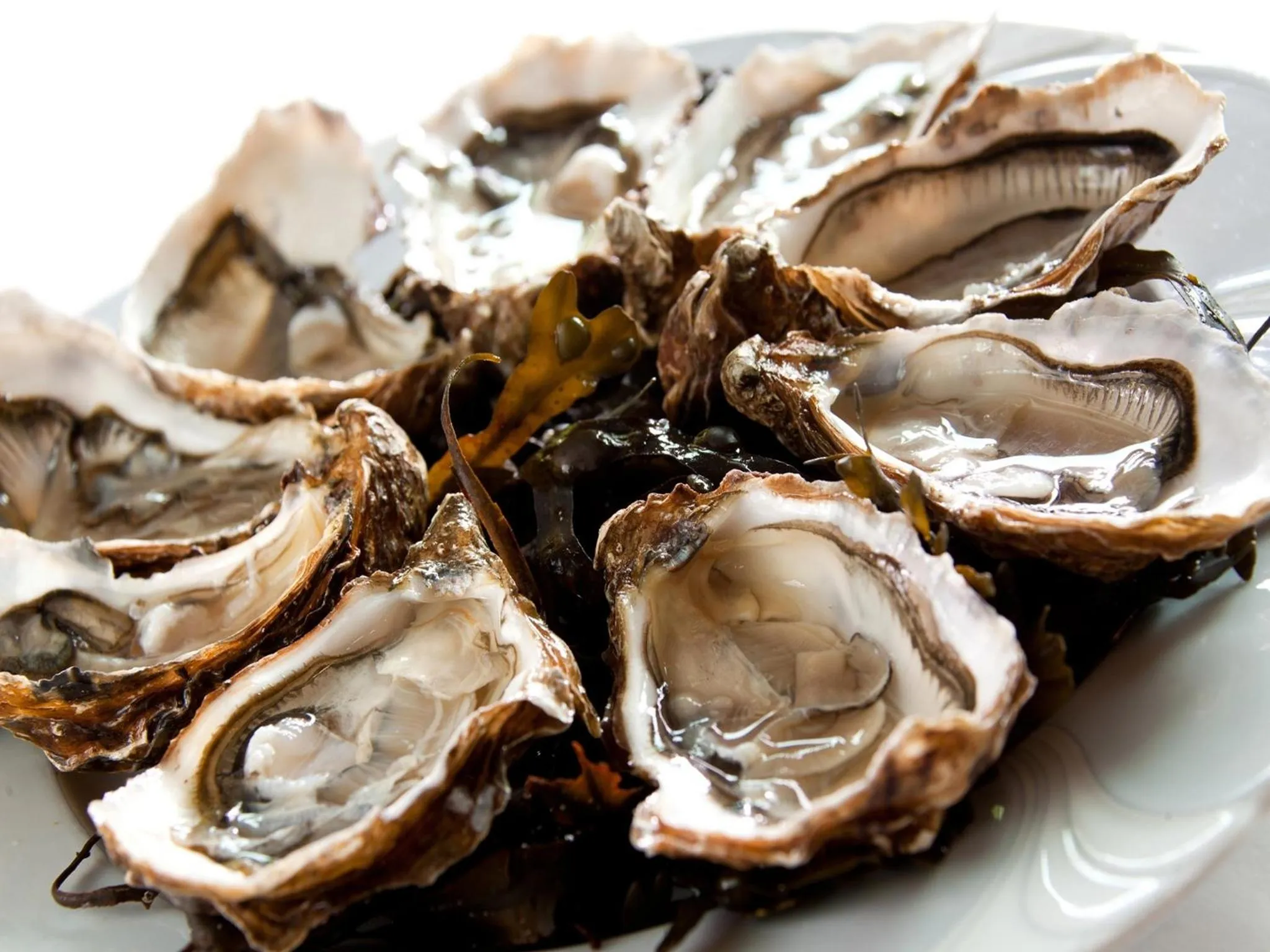 Food close-up in Grand Hôtel de Solesmes - Teritoria