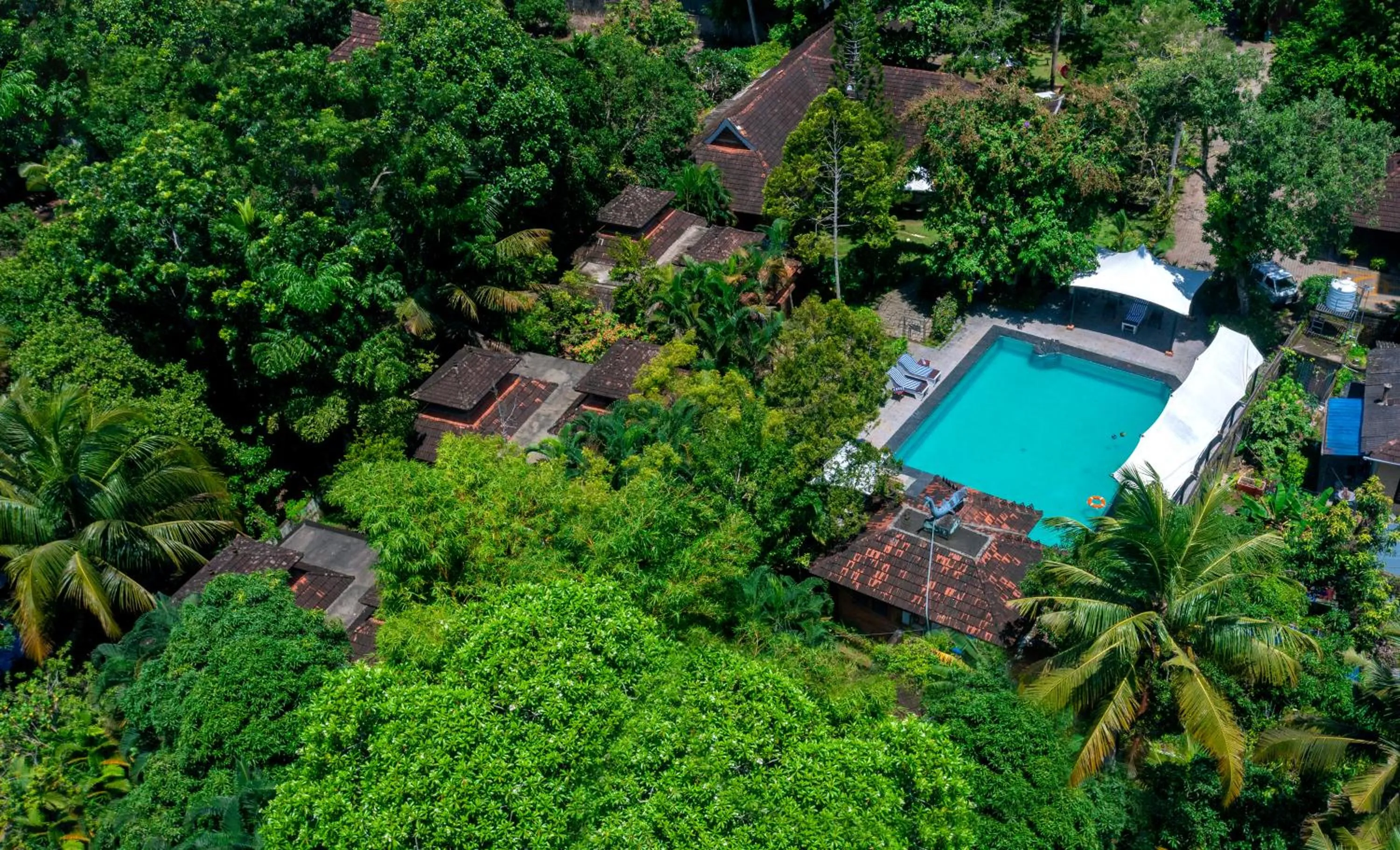 Swimming pool in Pagoda Resorts Alleppey