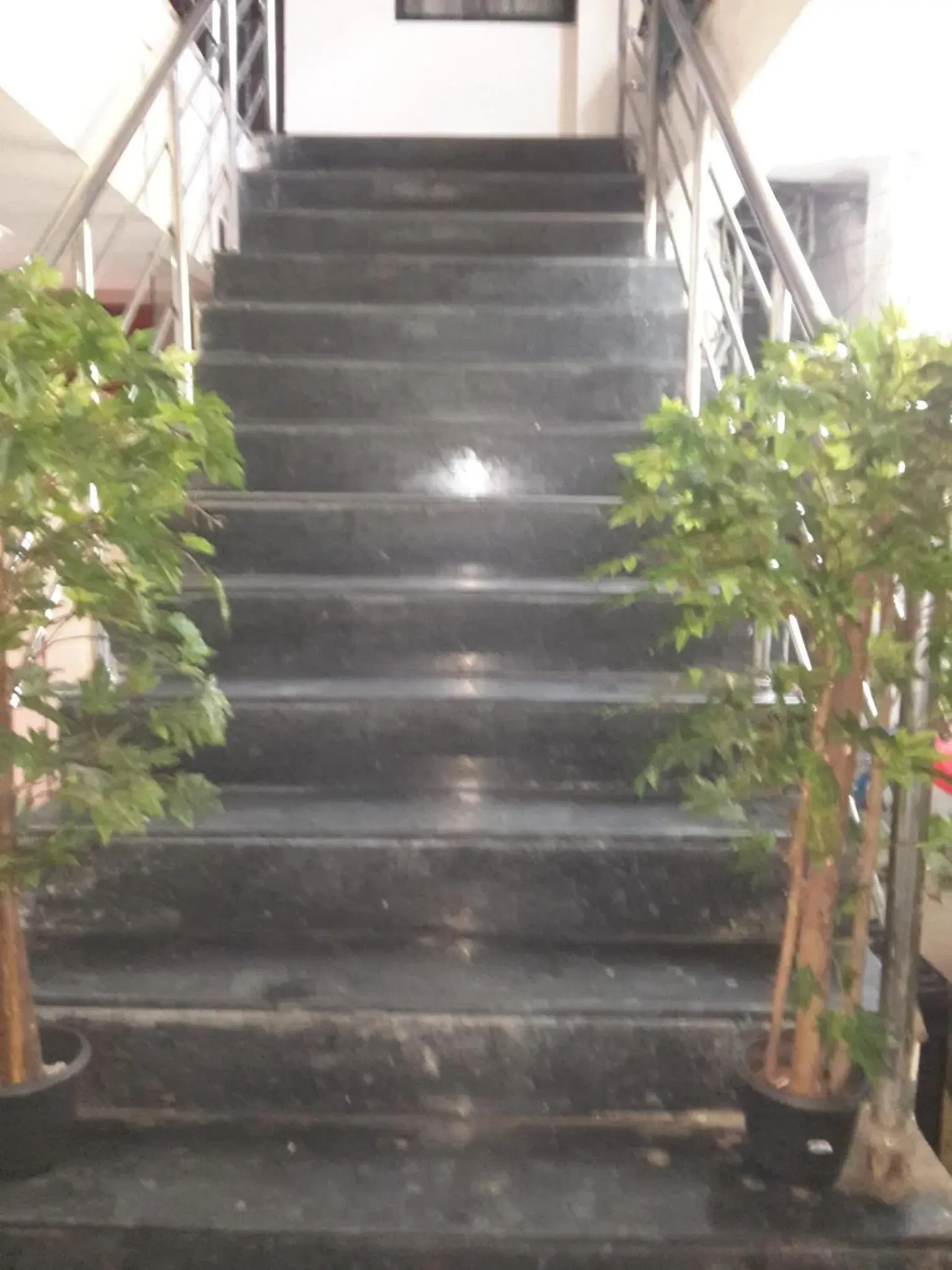 Other in S4 Residency Other in S4 Residency