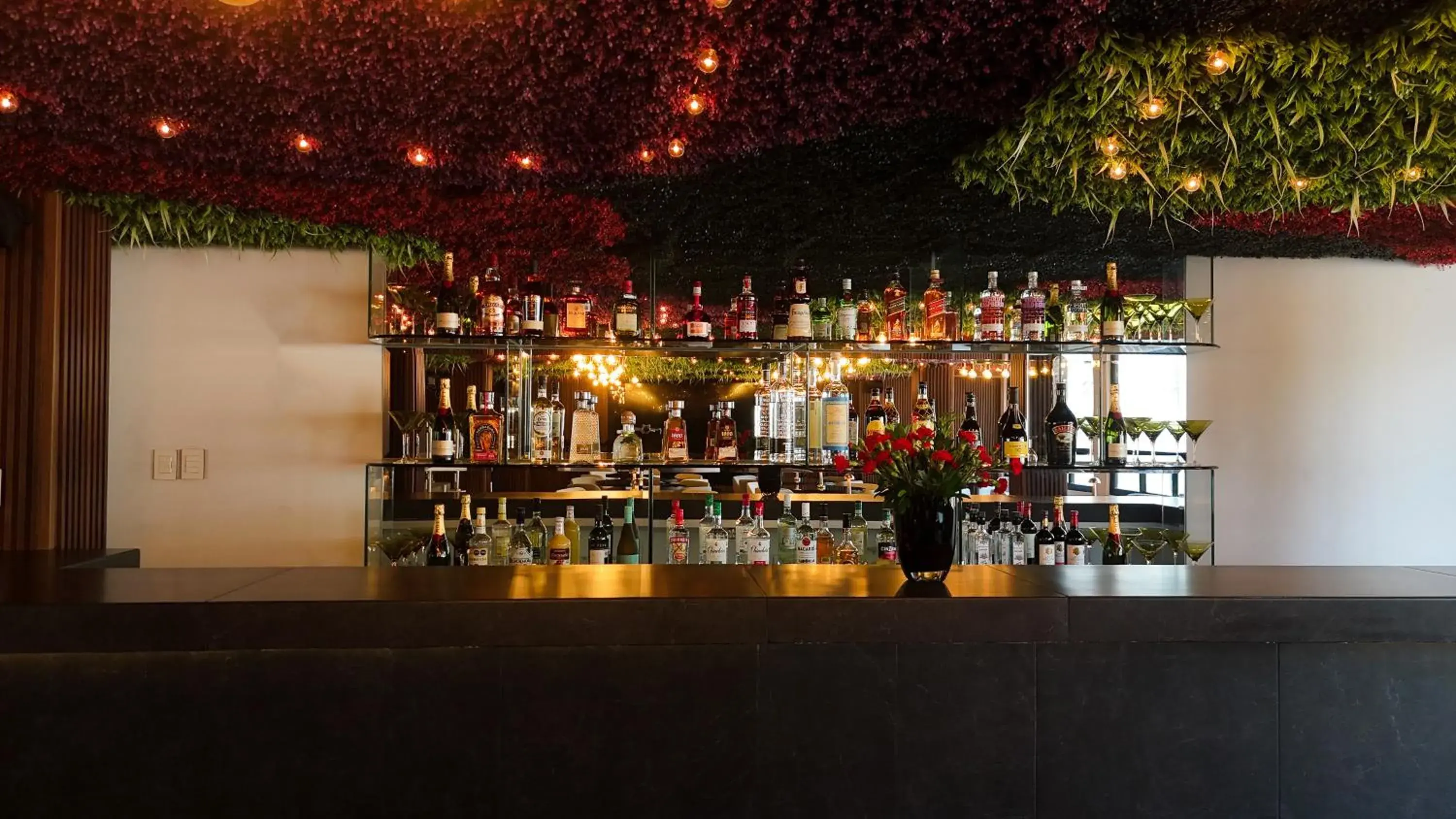 Restaurant/places to eat in Casa Tabachin Restaurant/places to eat in Casa Tabachin