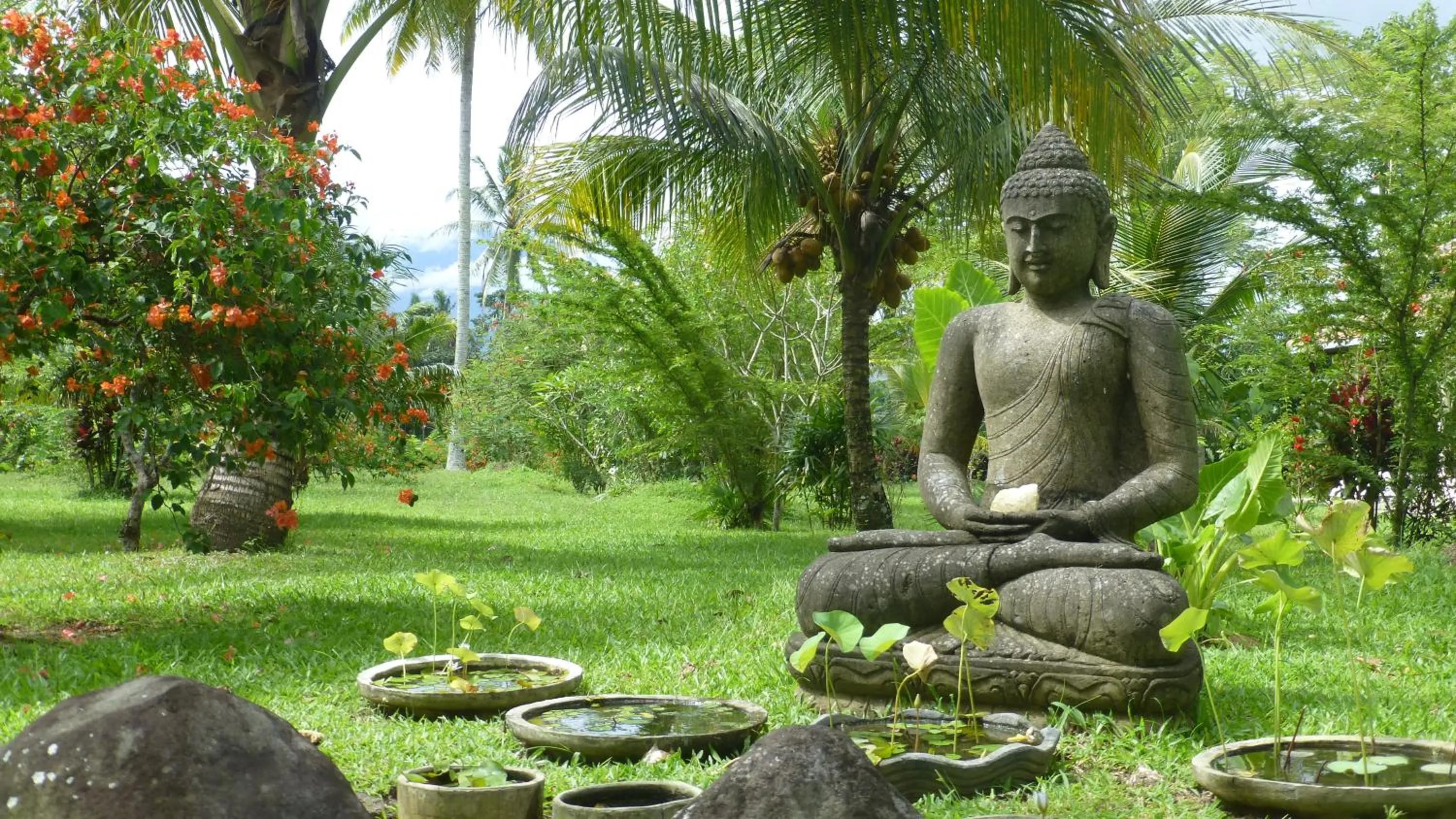 Garden in Rumah Kita Villa/hotel