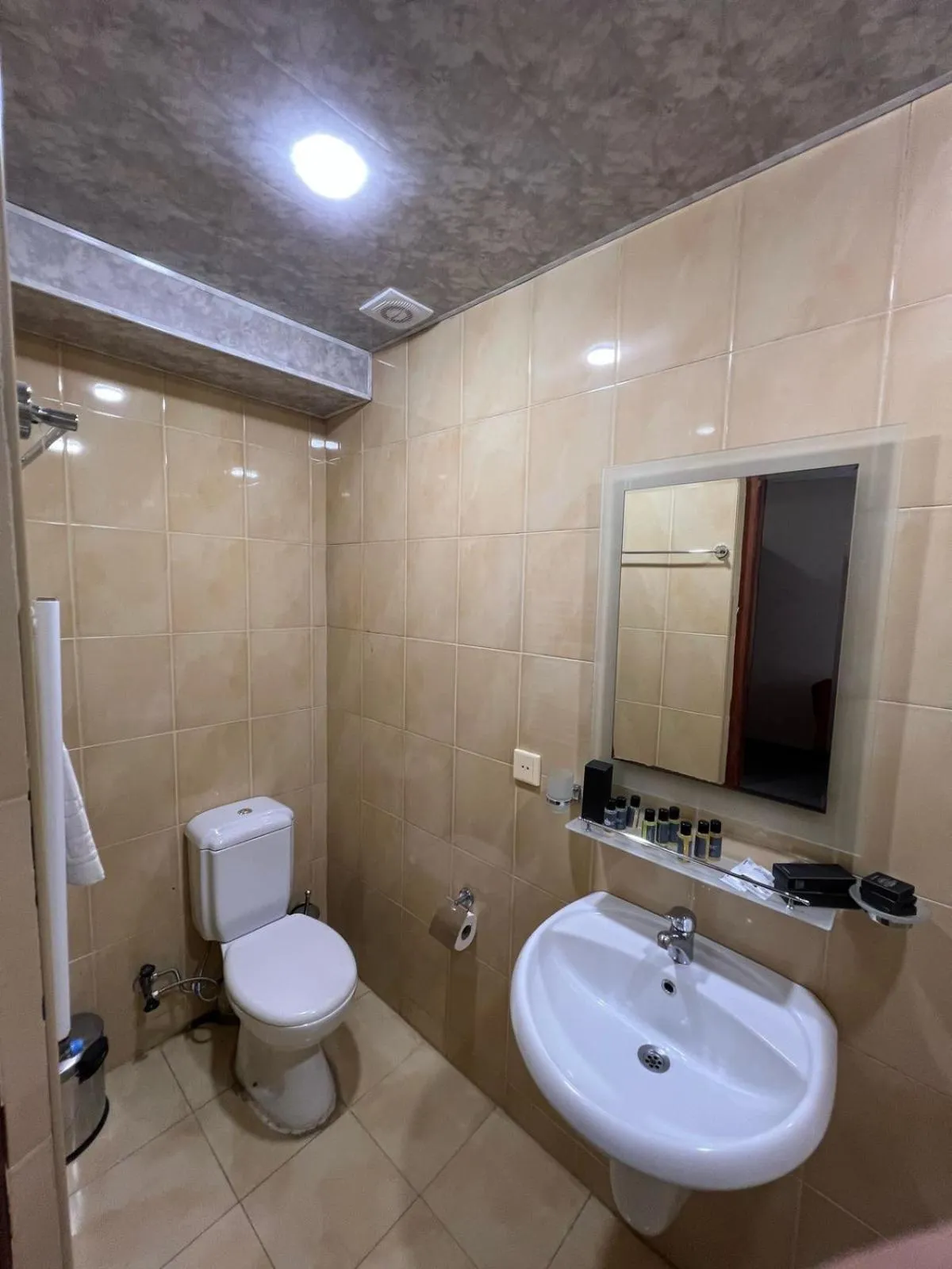 Toilet in Ritsa Boutique Hotel