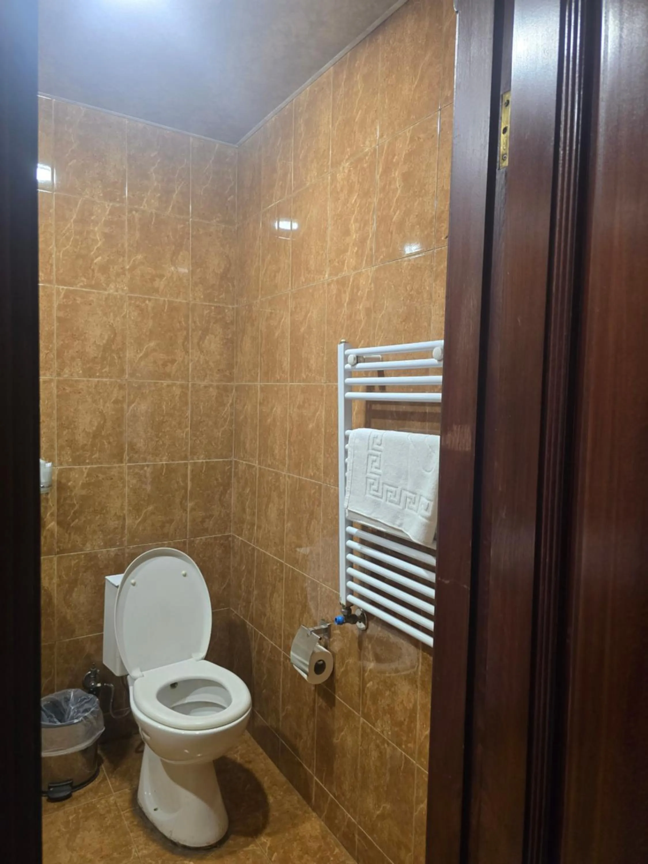 Toilet in Ritsa Boutique Hotel