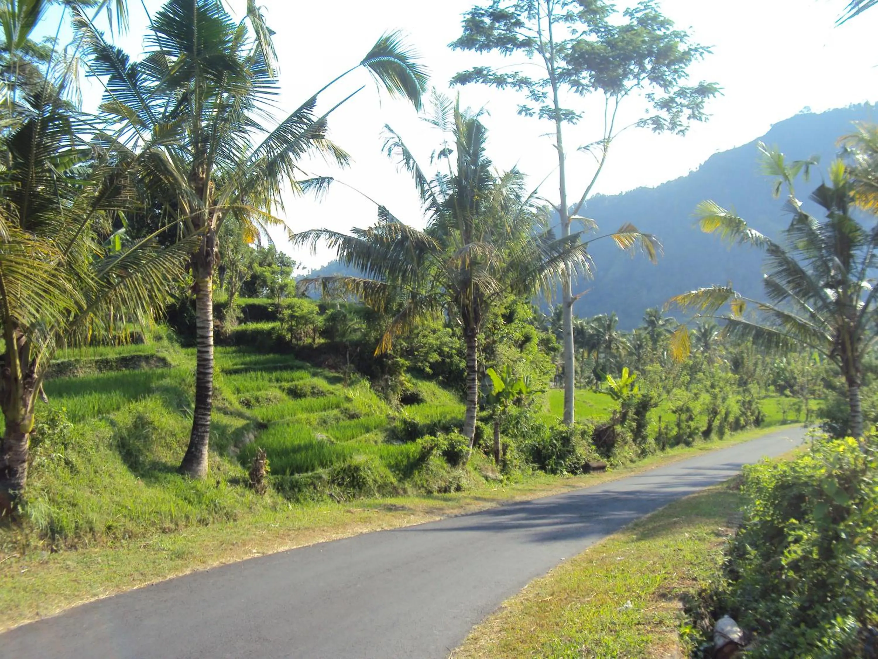 Day in Villa Uma Ayu Sidemen