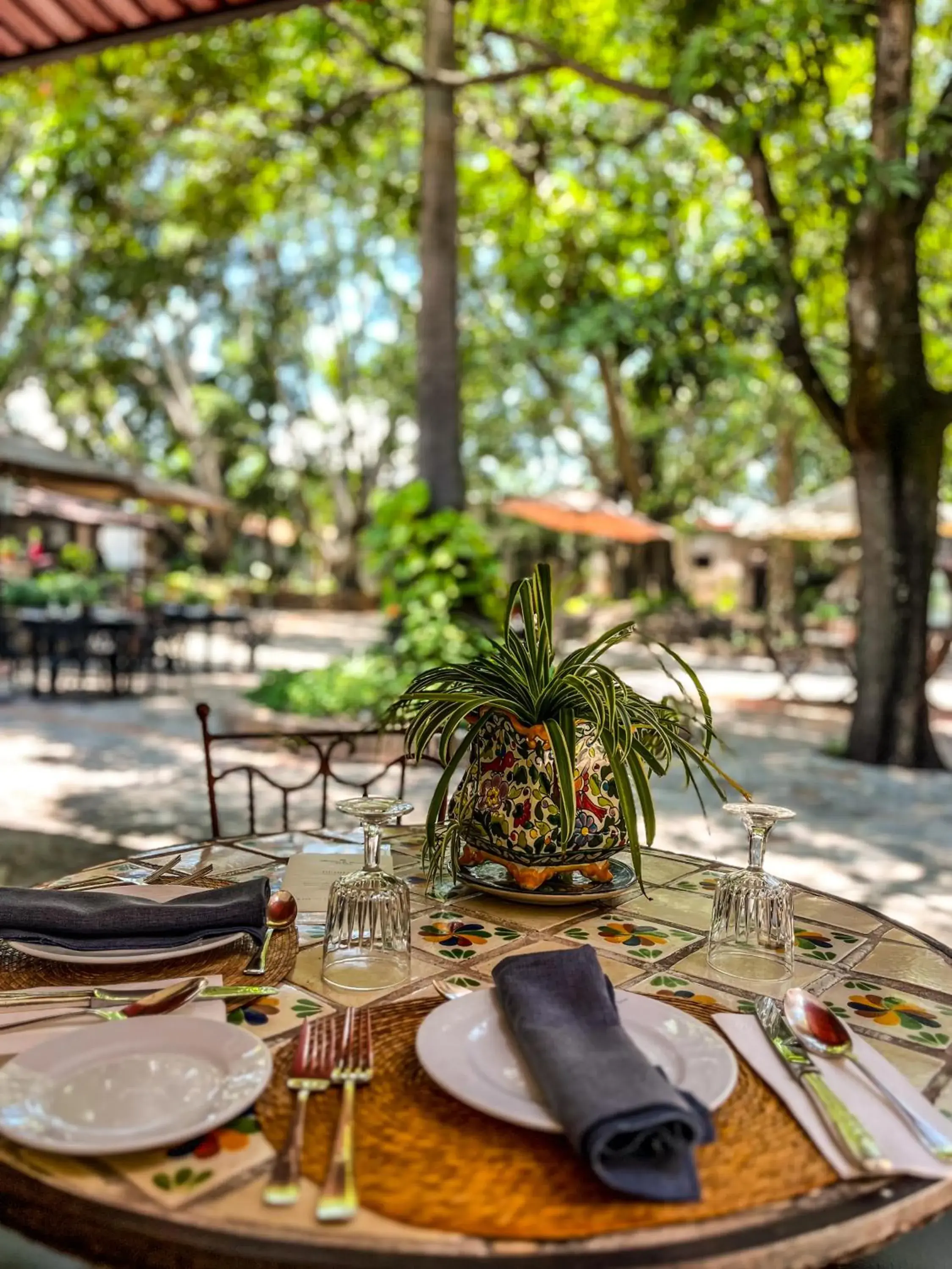 Restaurant/places to eat in Hacienda El Carmen Hotel & Spa Restaurant/places to eat in Hacienda El Carmen Hotel & Spa