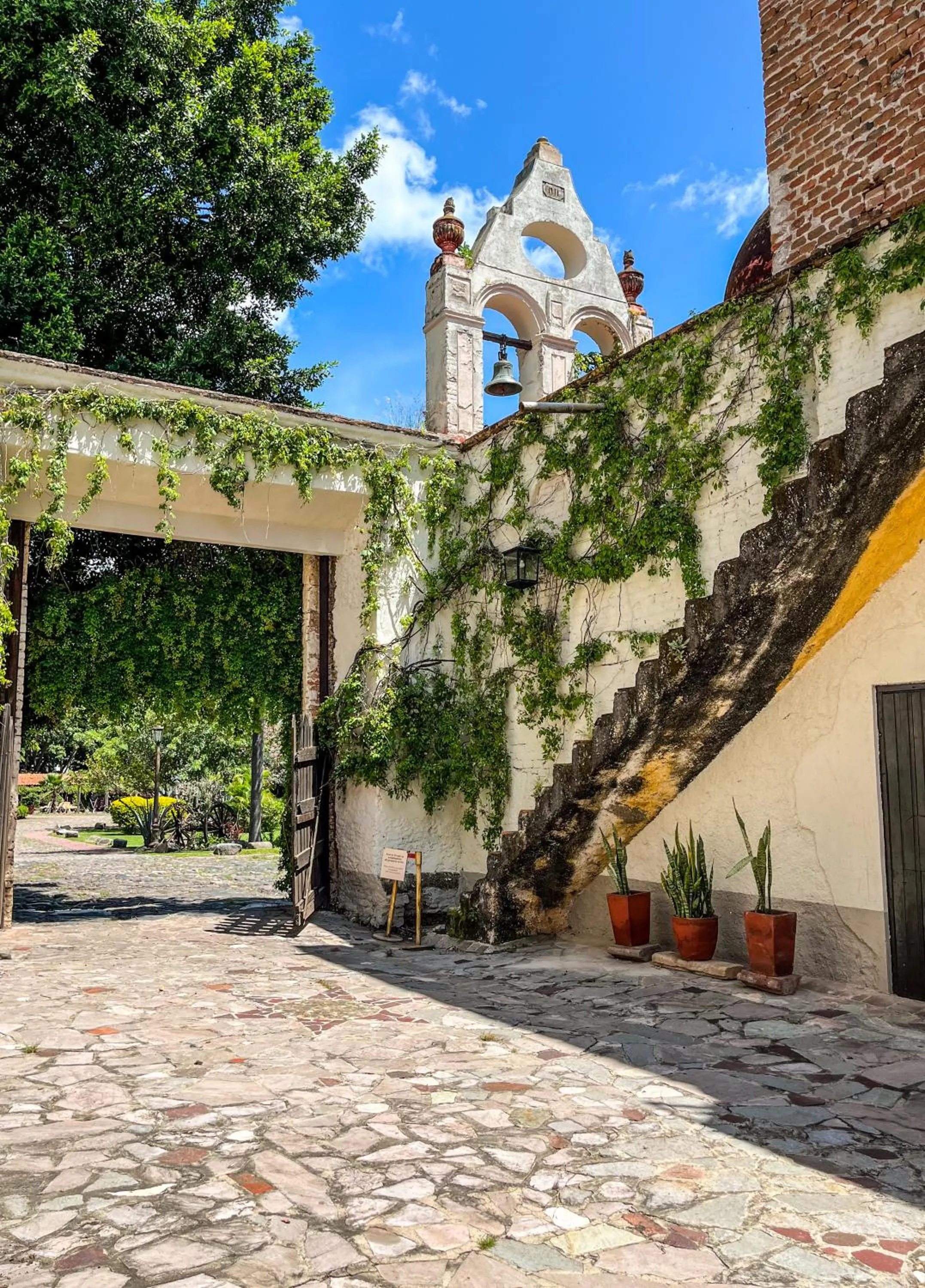 Garden in Hacienda El Carmen Hotel & Spa