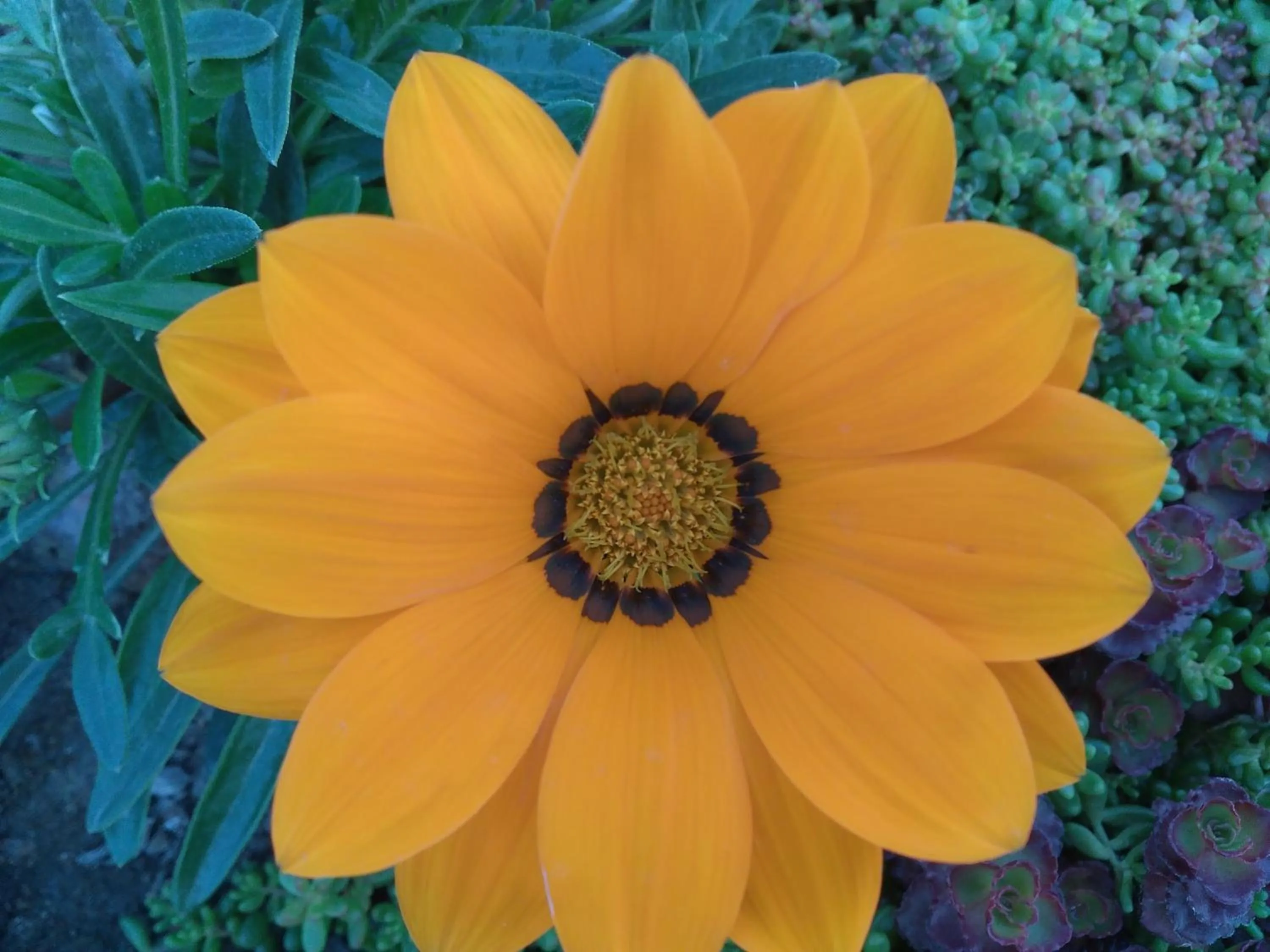 Property building in Hotel Imaginarium